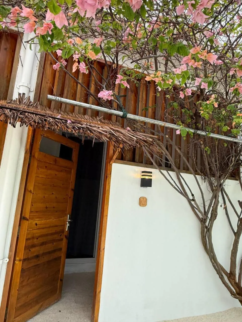 Property building in Navaya Dhiffushi