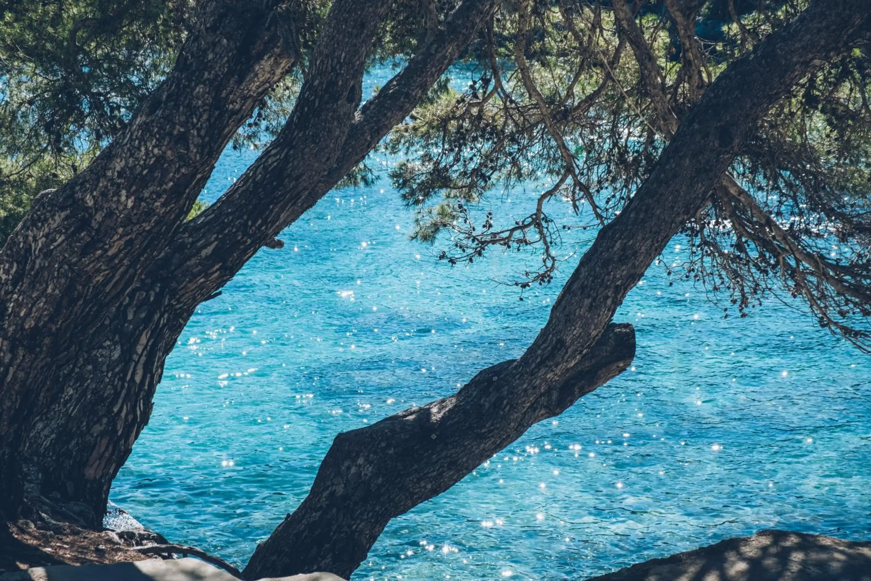 Sea view in Iberostar Waves Pinos Park Sea view in Iberostar Waves Pinos Park