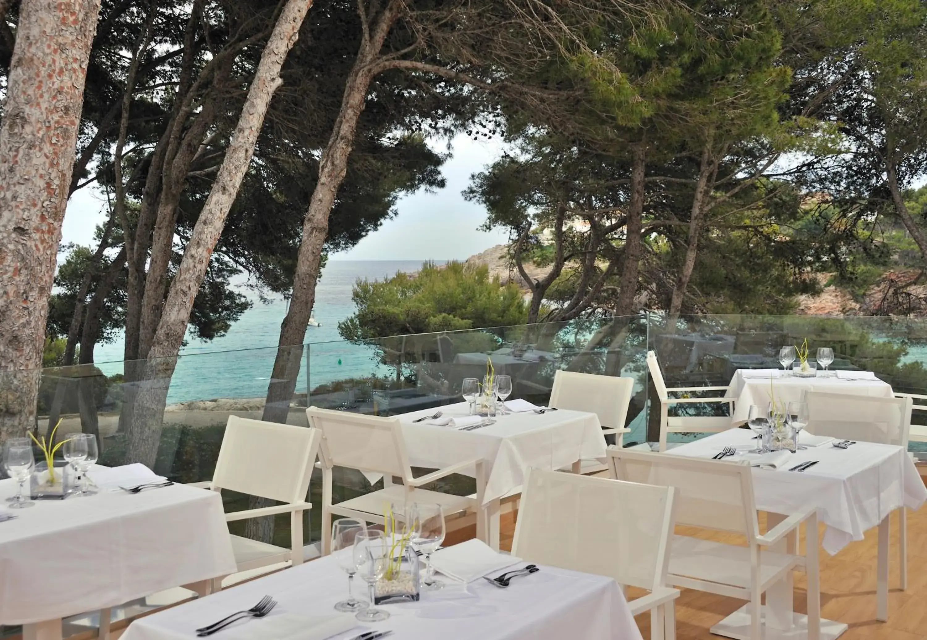 Restaurant/places to eat in Iberostar Waves Pinos Park Restaurant/places to eat in Iberostar Waves Pinos Park