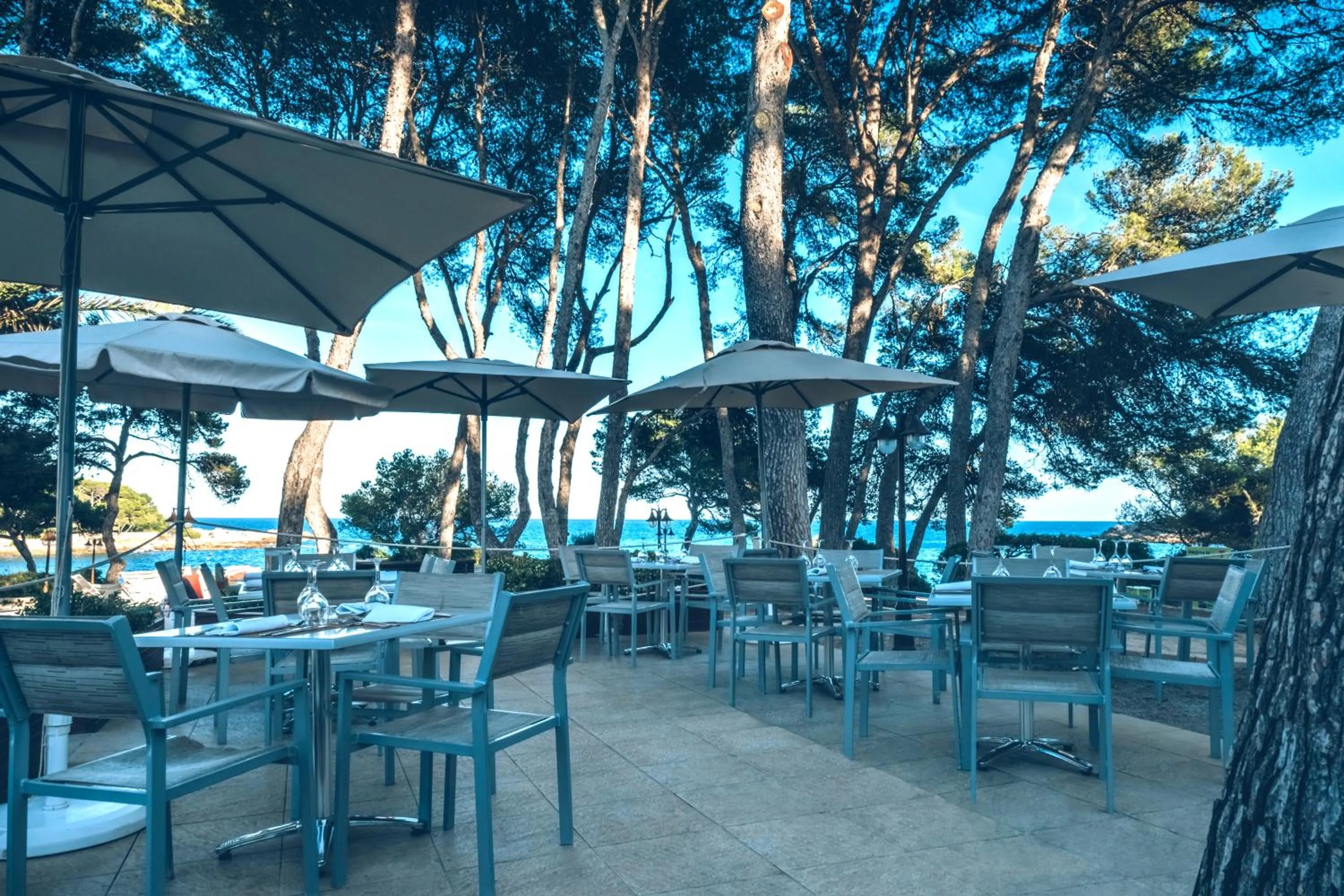 Restaurant/places to eat in Iberostar Waves Pinos Park