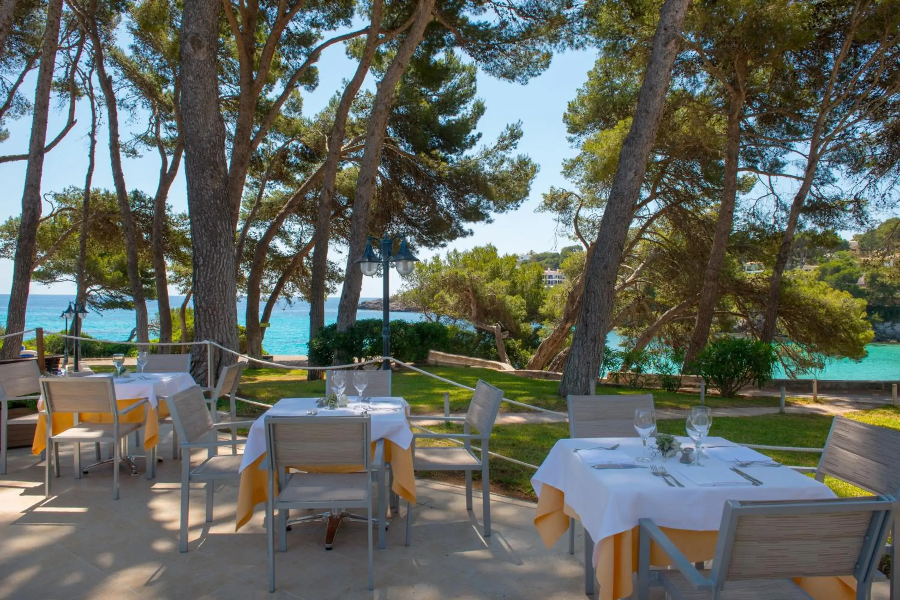 Restaurant/places to eat in Iberostar Waves Pinos Park Restaurant/places to eat in Iberostar Waves Pinos Park