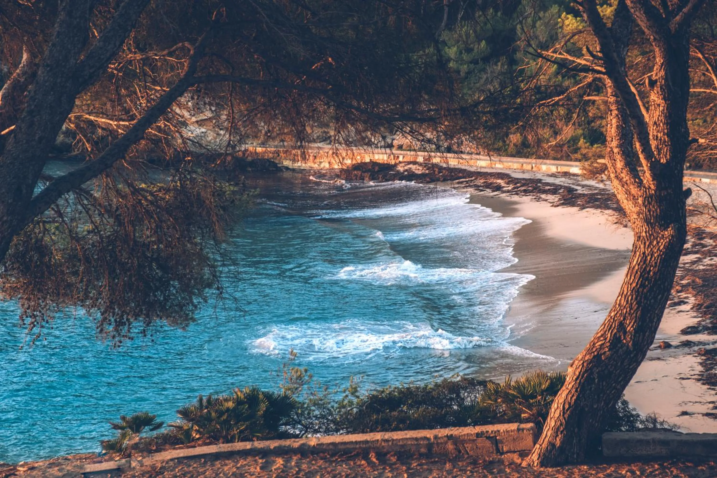Beach in Iberostar Waves Pinos Park