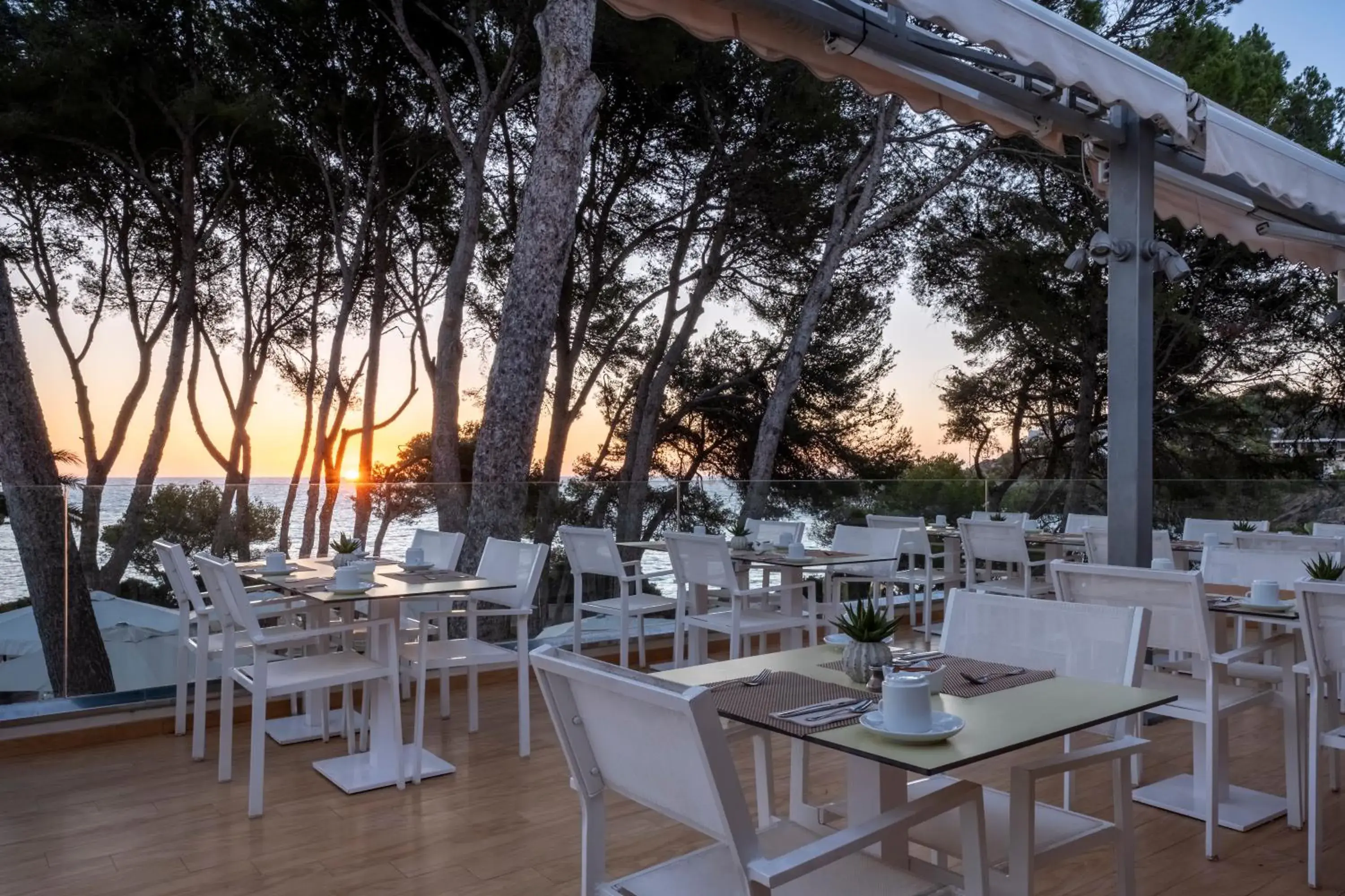 Restaurant/places to eat in Iberostar Waves Pinos Park Restaurant/places to eat in Iberostar Waves Pinos Park
