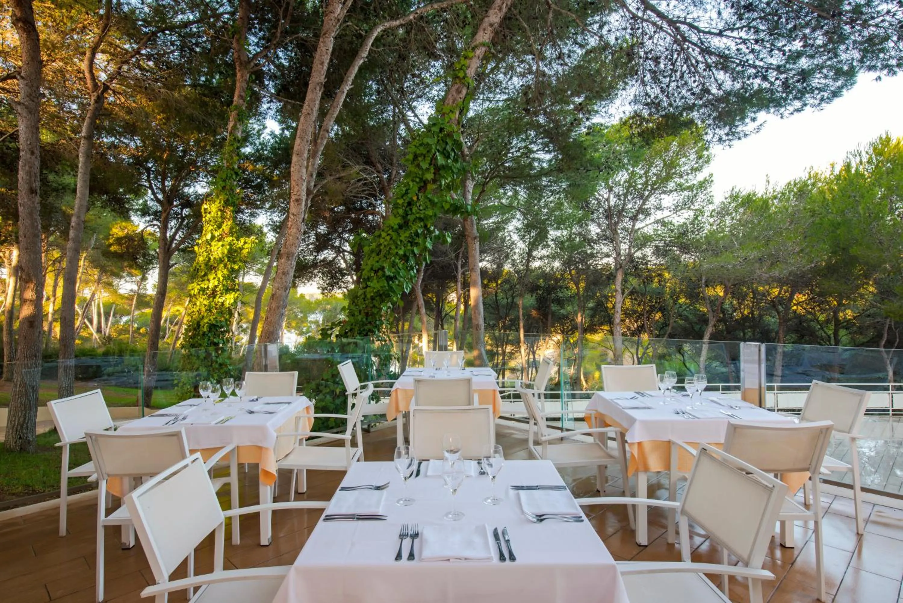 Restaurant/places to eat in Iberostar Waves Club Cala Barca All Inclusive