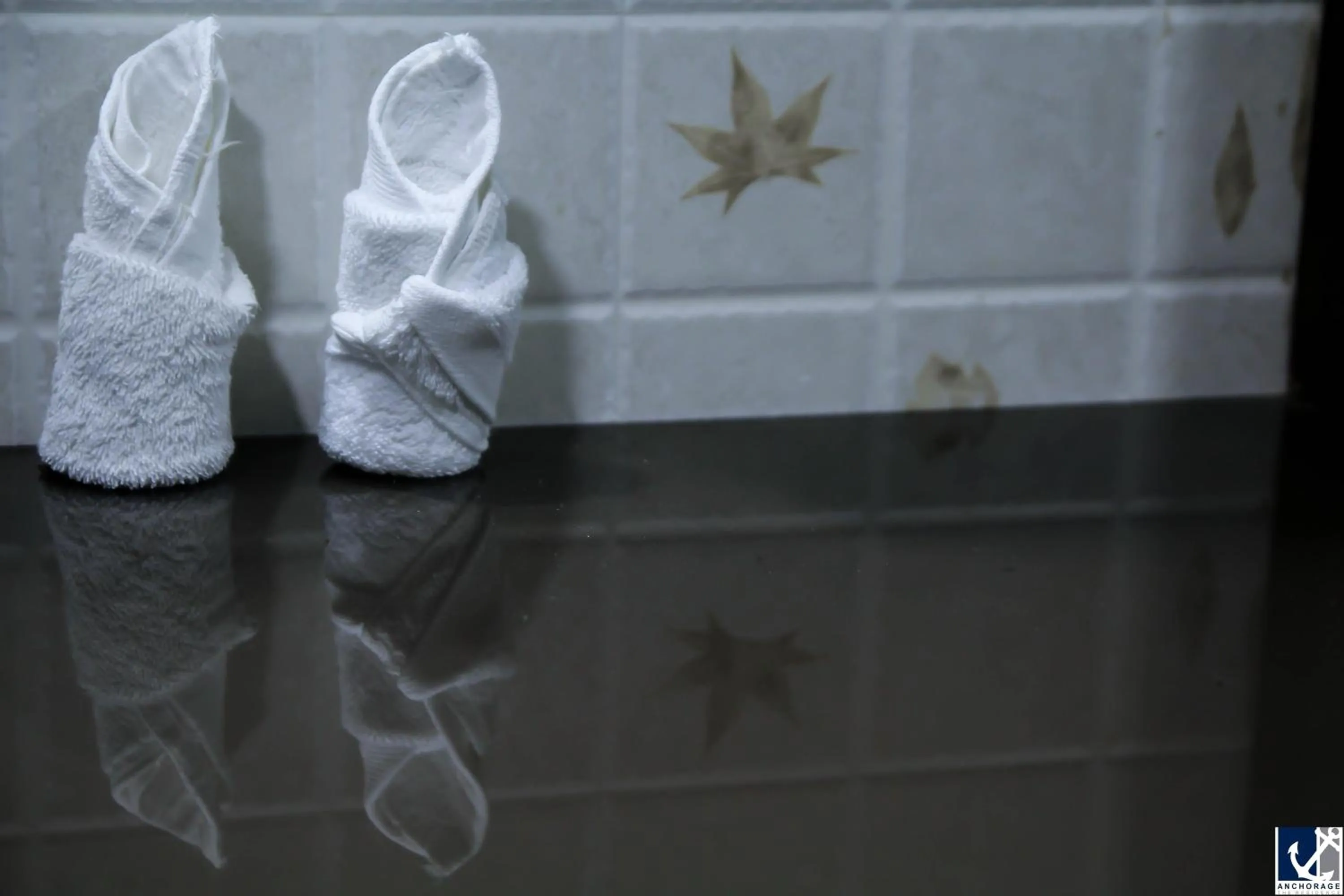 Bathroom in Anchorage The Residence