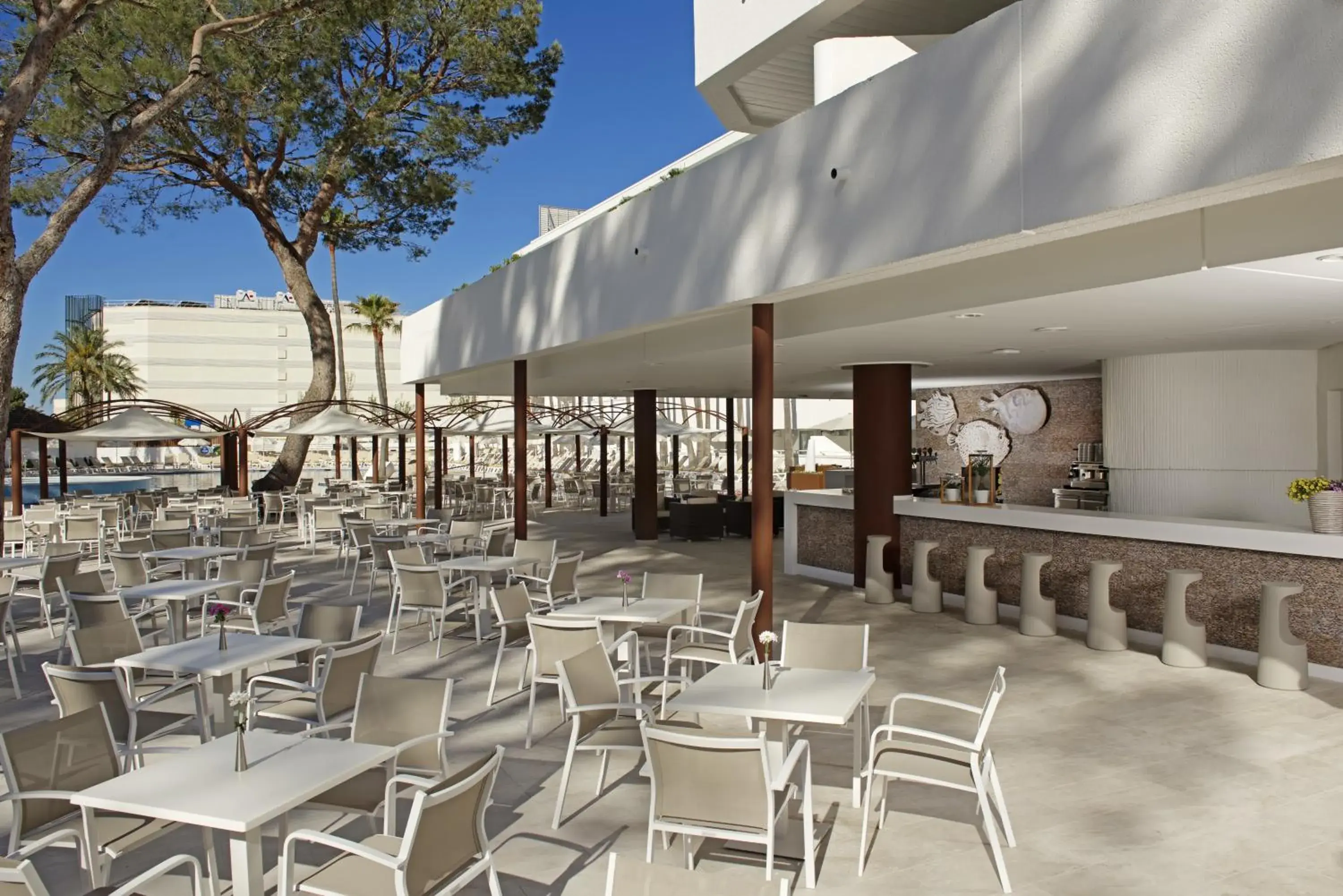 Restaurant/places to eat in Iberostar Waves Cristina Restaurant/places to eat in Iberostar Waves Cristina