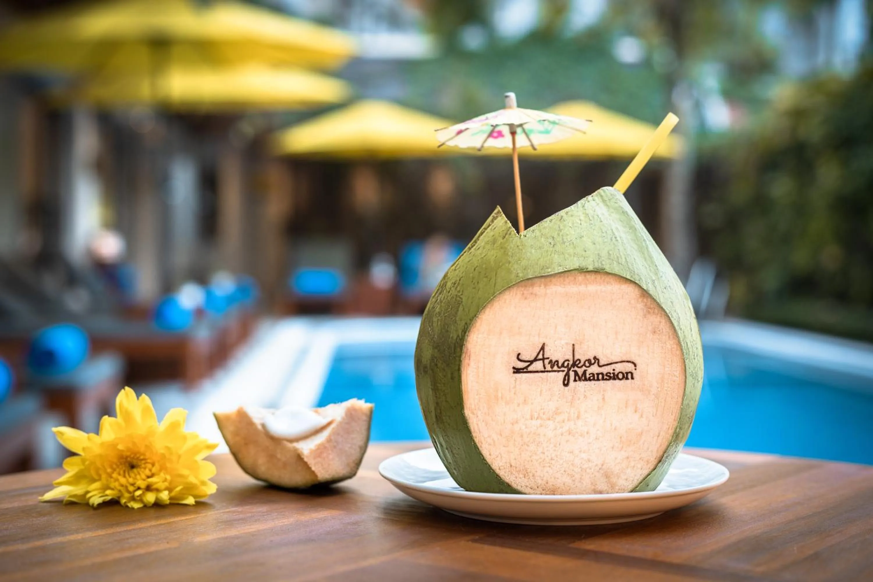 Day in Angkor Mansion & Residence