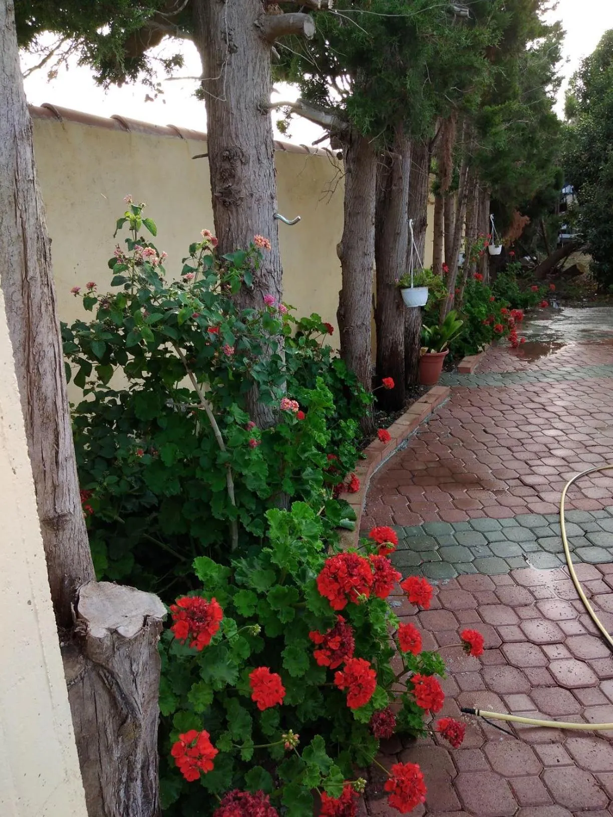 Appartamento villa delle Arance 300mt dalla spiaggia