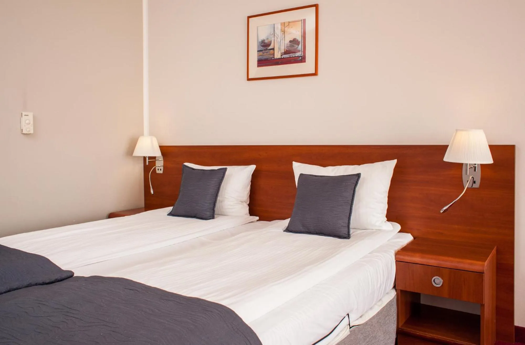 Photo of the whole room, Bed in Hotel Rigga