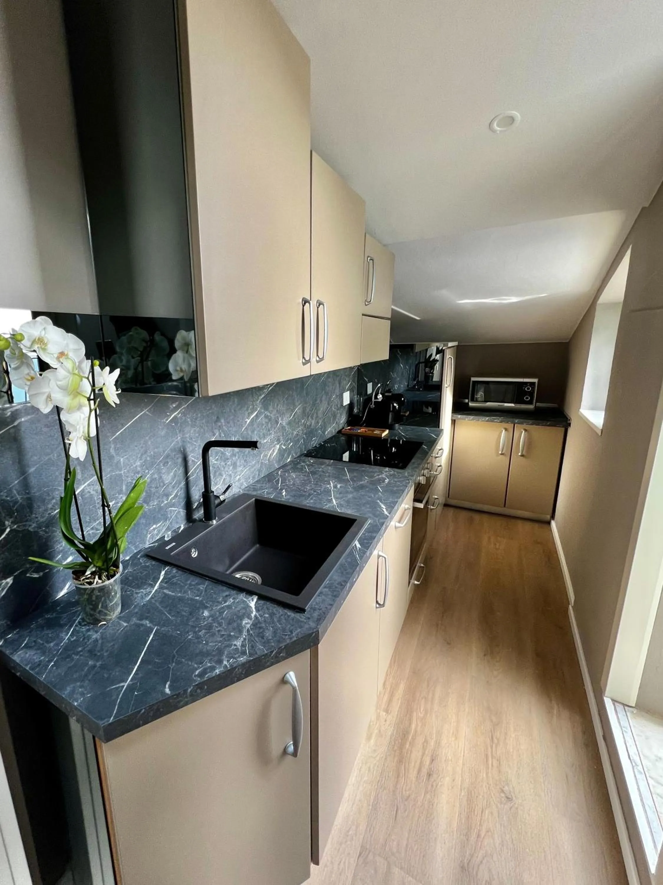 Kitchen or kitchenette in Hotel Residence Esplanade