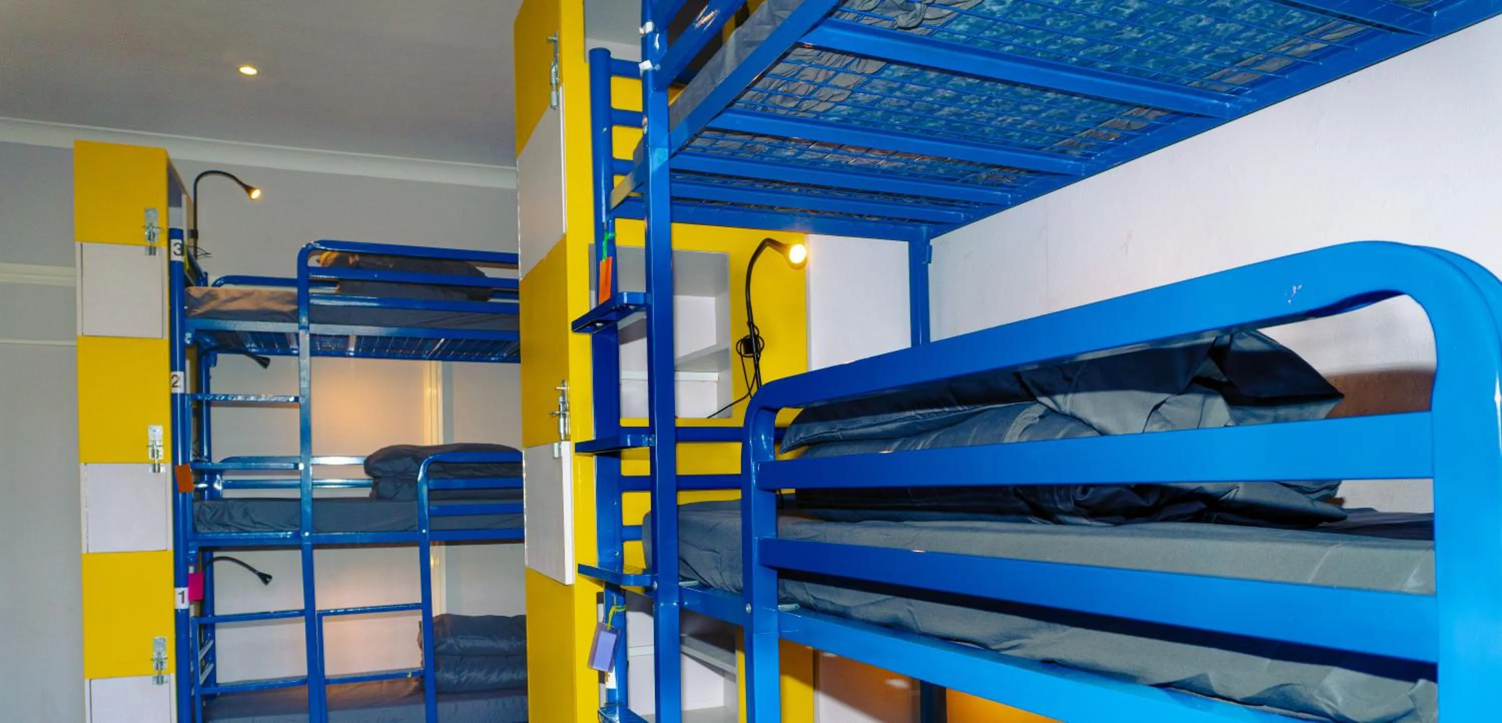 Bed in Prime Backpackers Angel