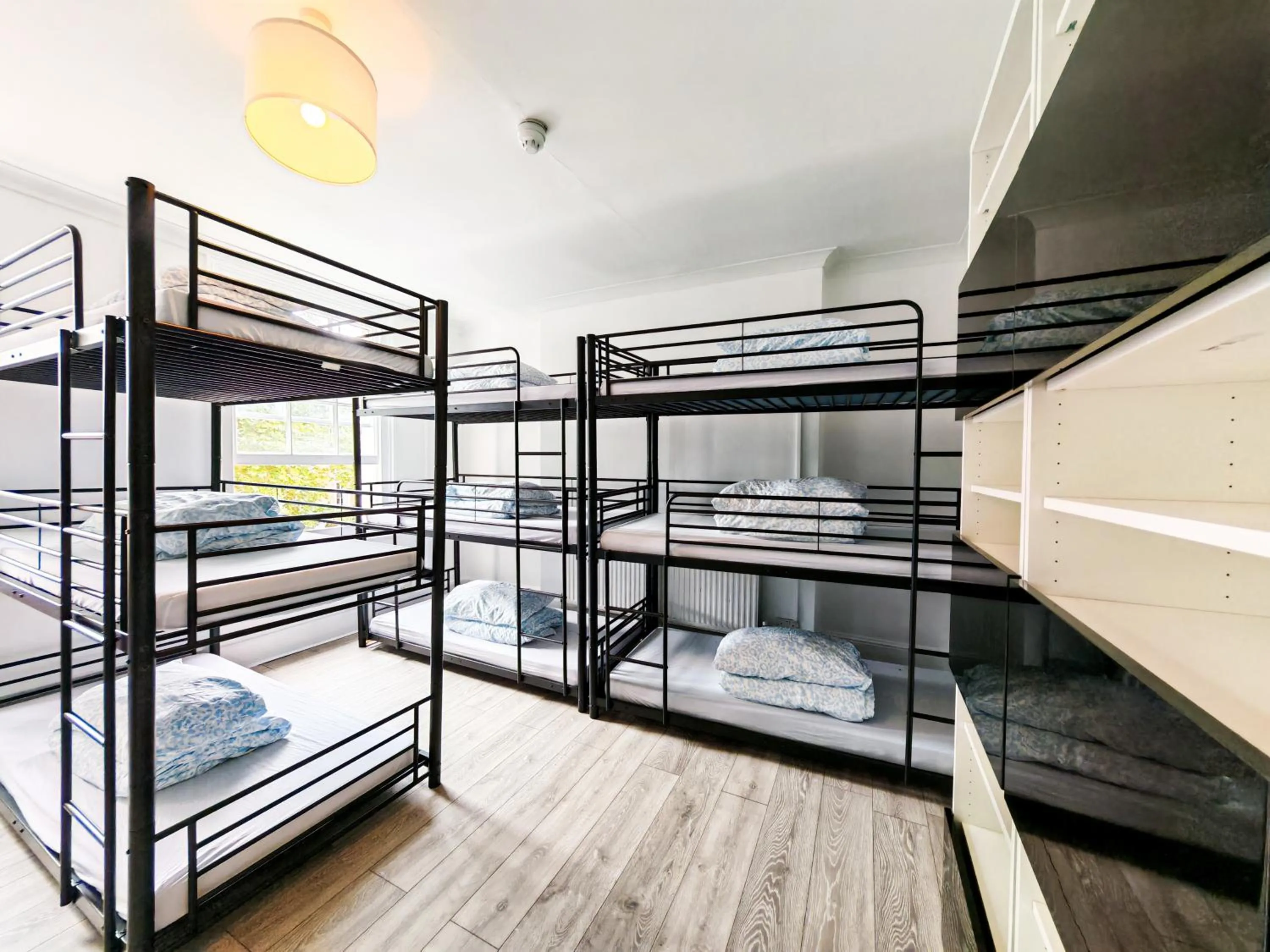 Bed in Prime Backpackers Angel