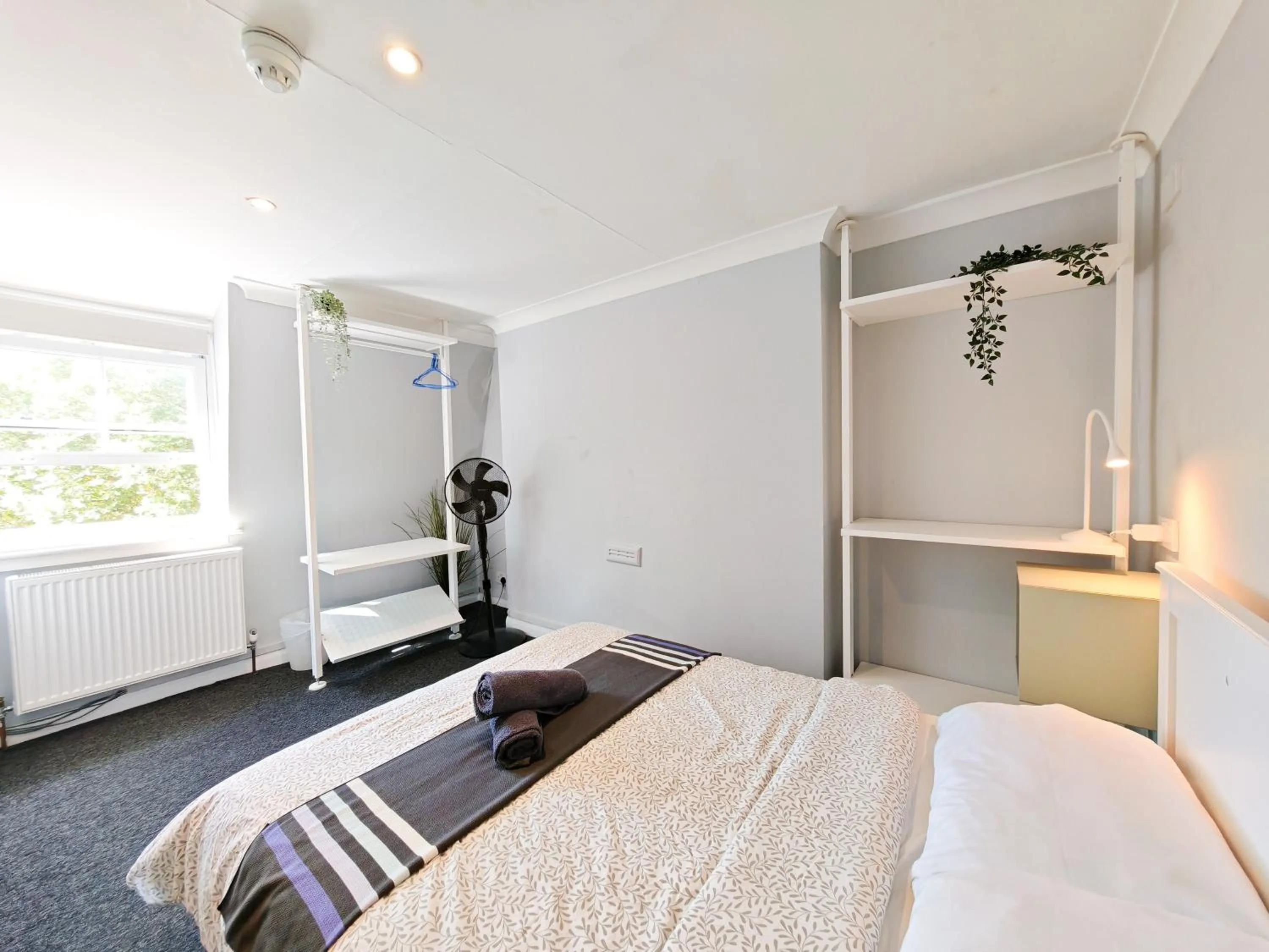 Bed in Prime Backpackers Angel