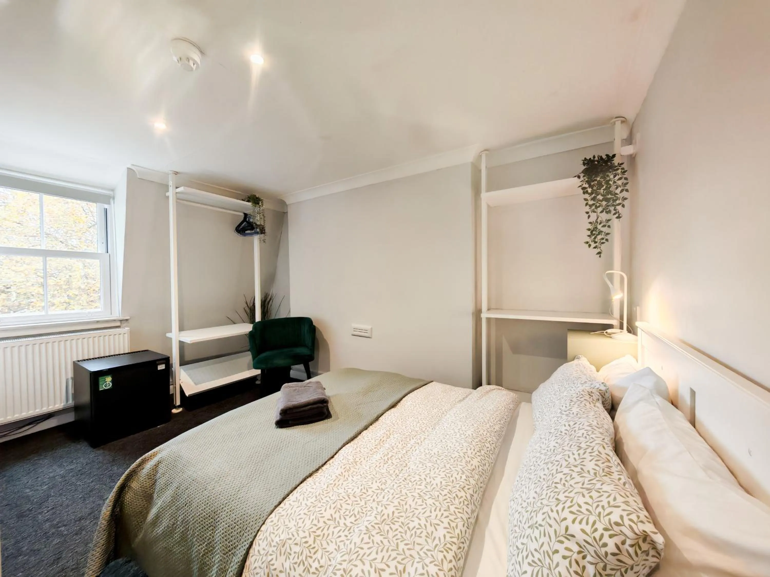 Bed in Prime Backpackers Angel