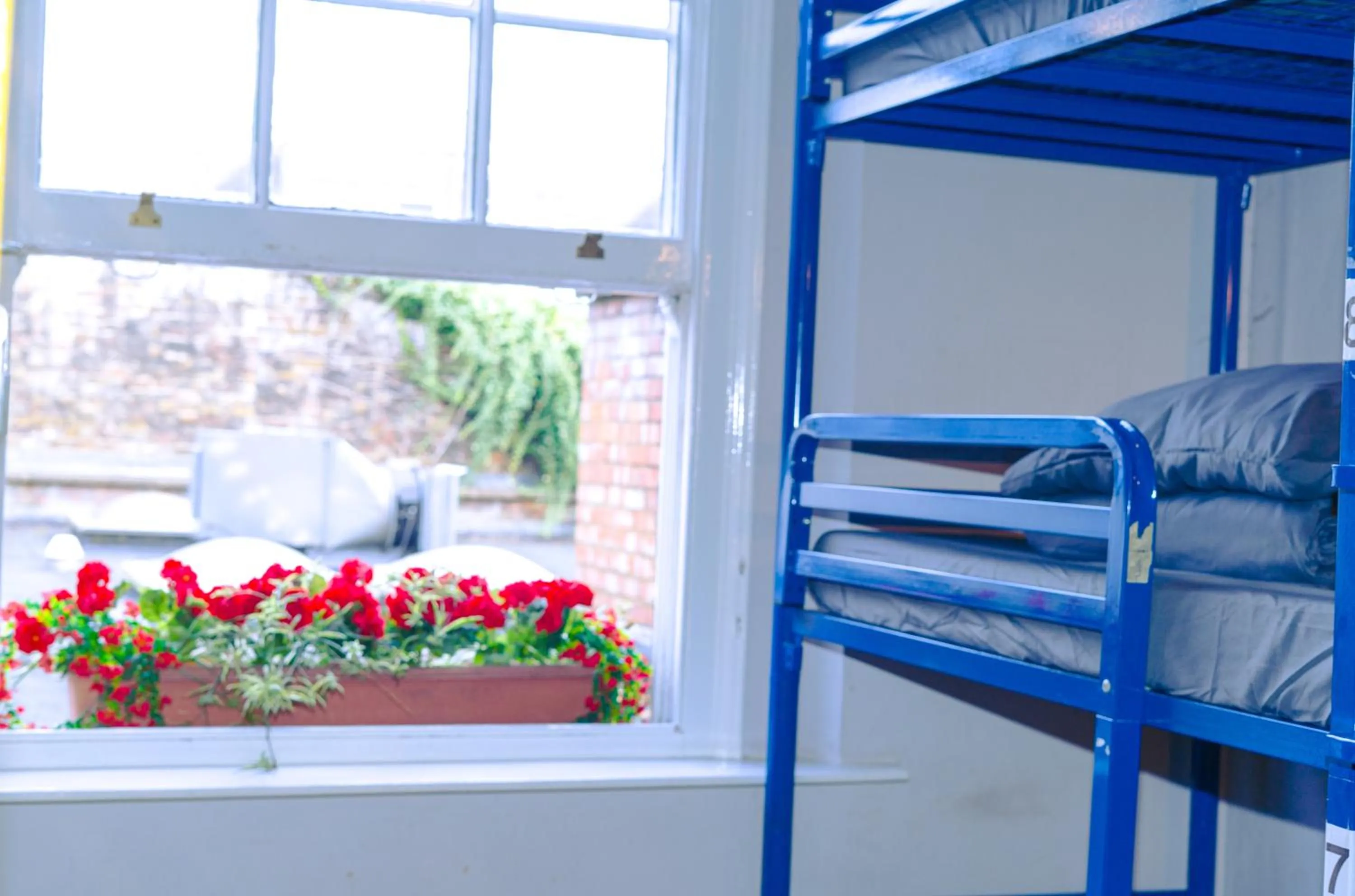 Bed in Prime Backpackers Angel