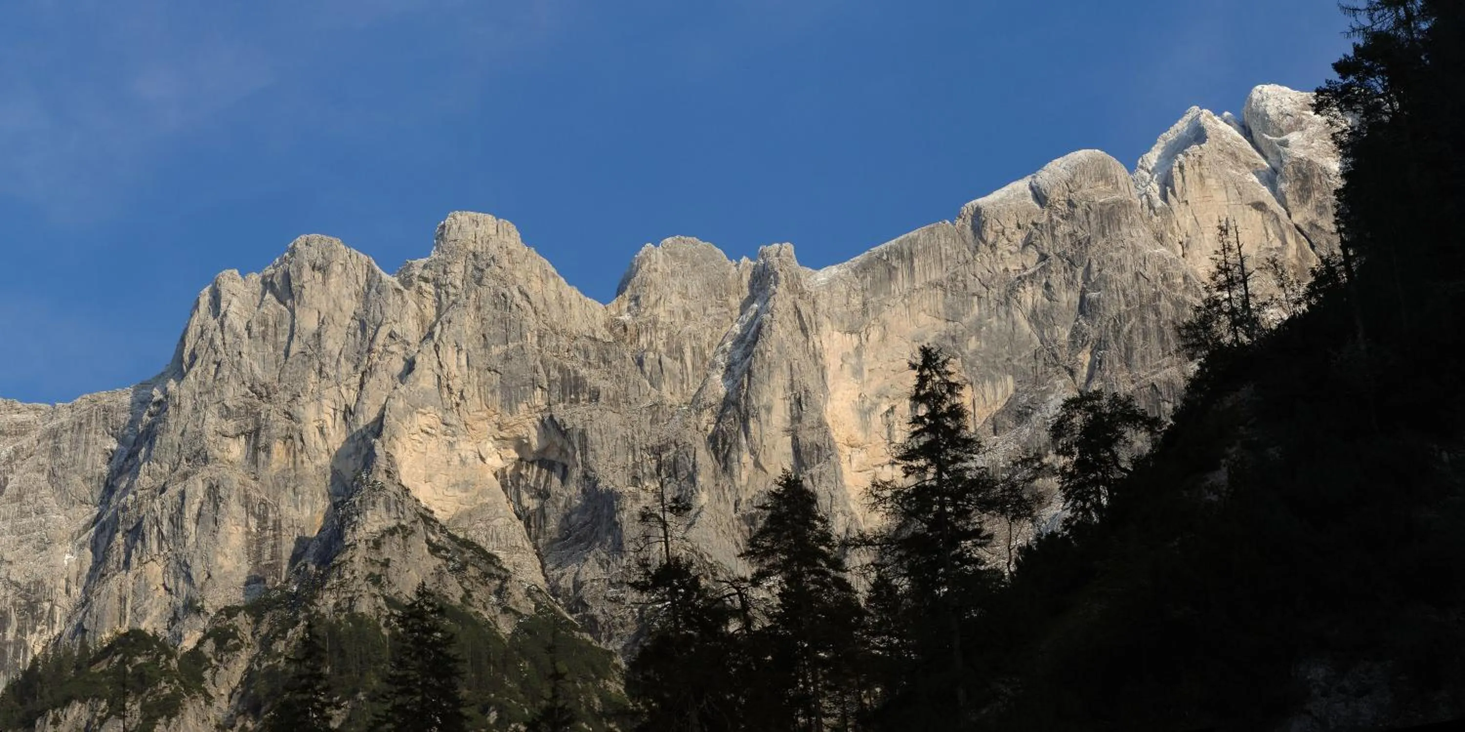 Area and facilities in Gasthof Dorfwirt
