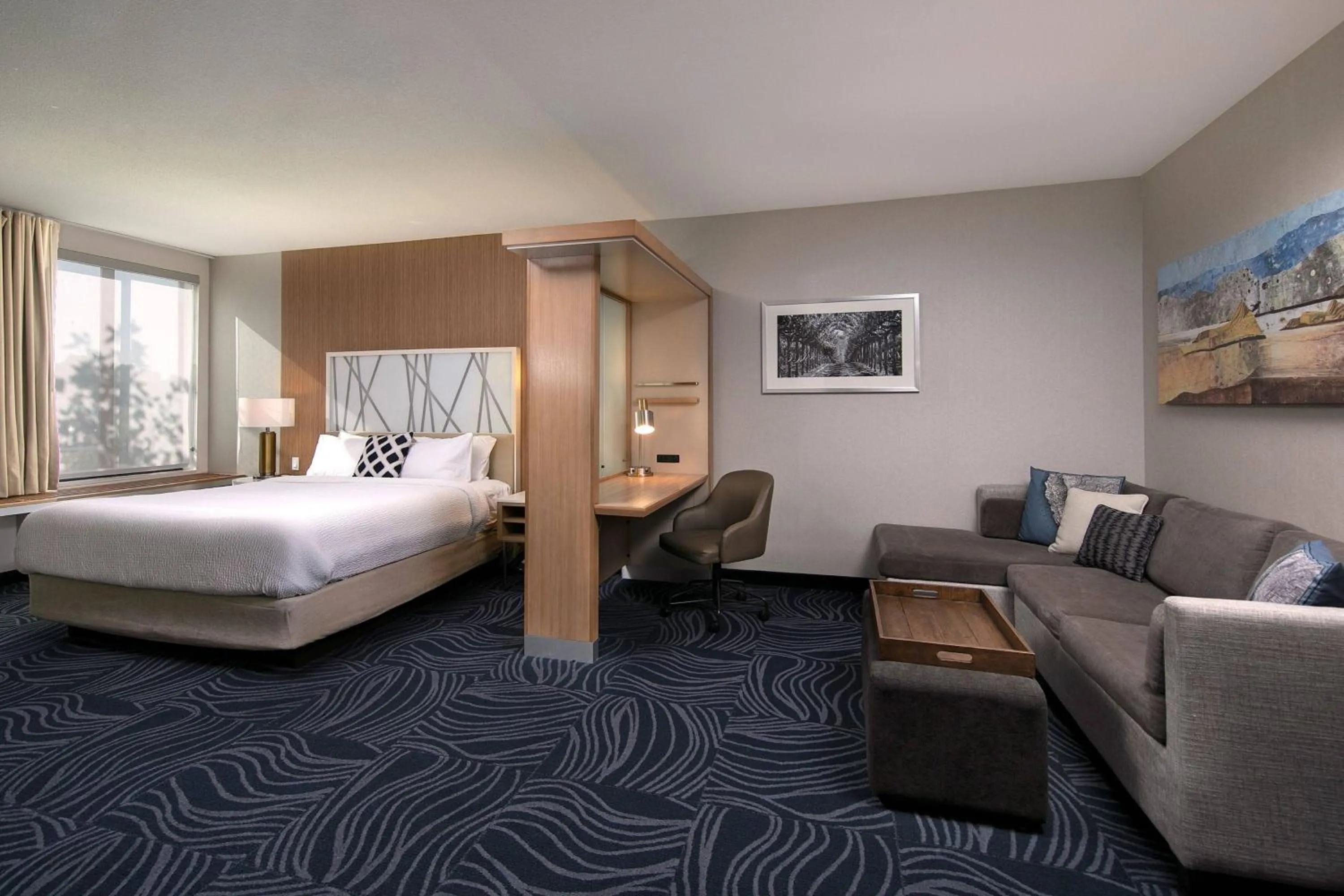 Photo of the whole room, Bed in SpringHill Suites by Marriott Paso Robles Atascadero