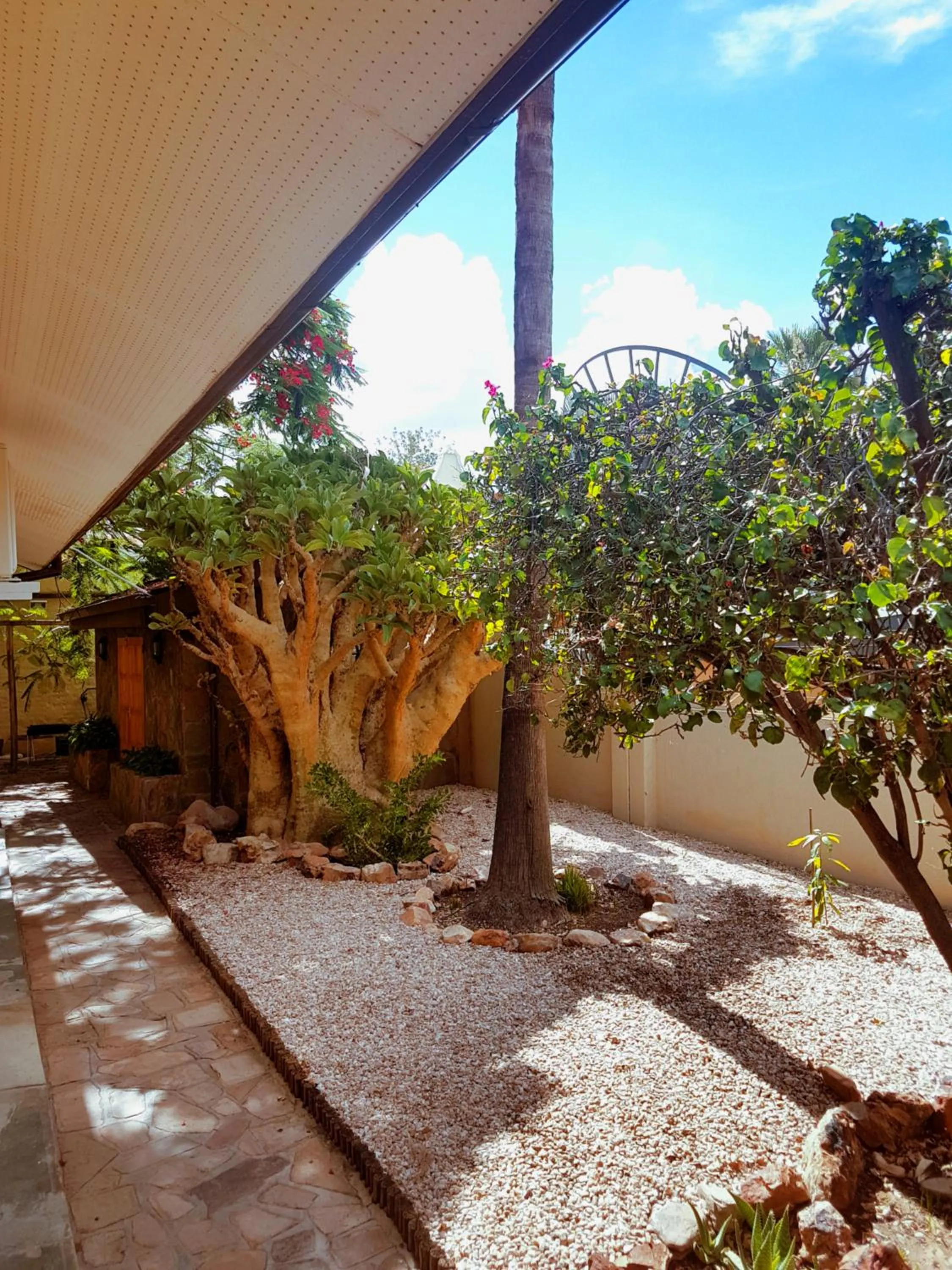 Garden view in Hotel Pension Steiner