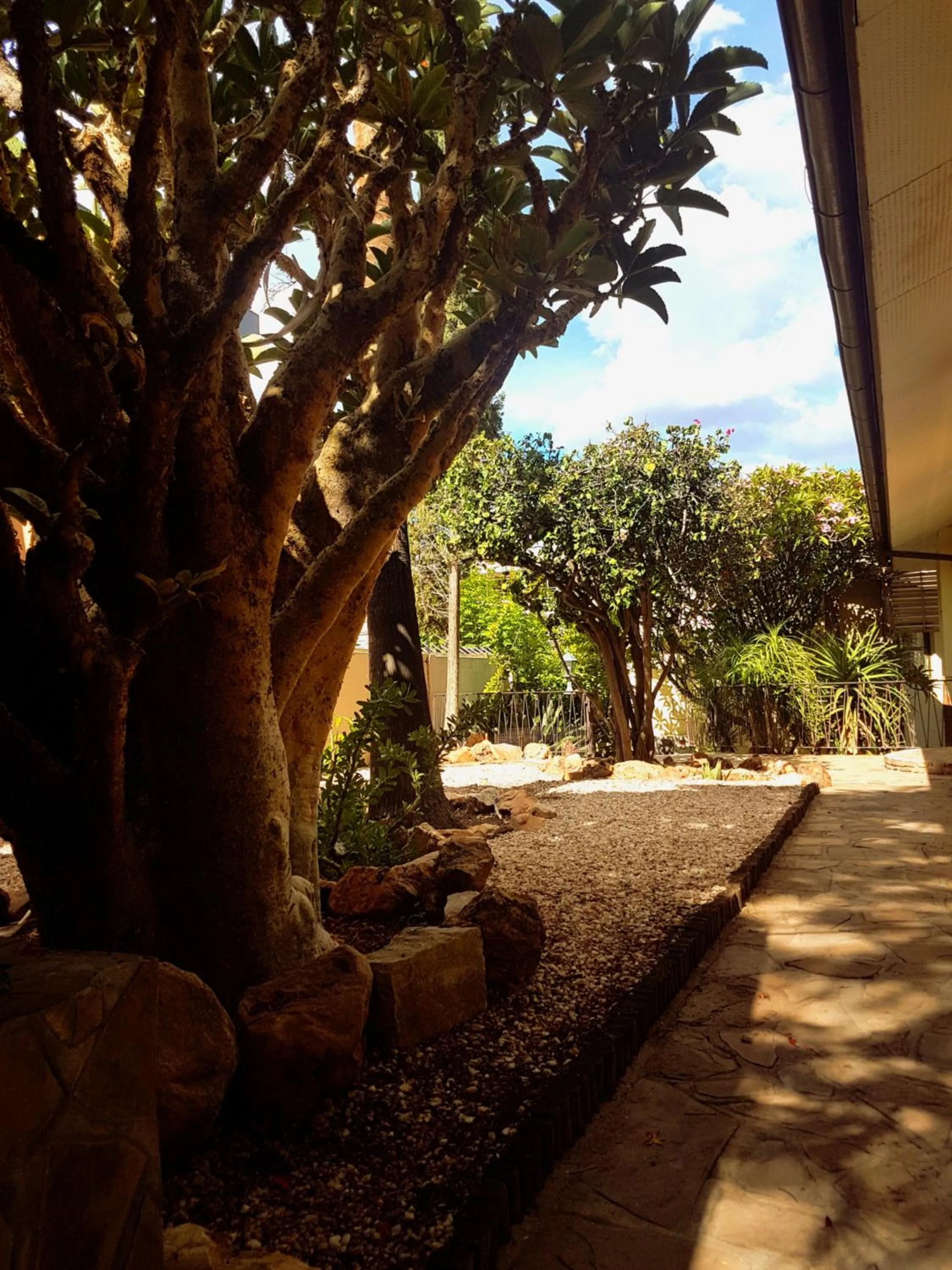 Garden view in Hotel Pension Steiner