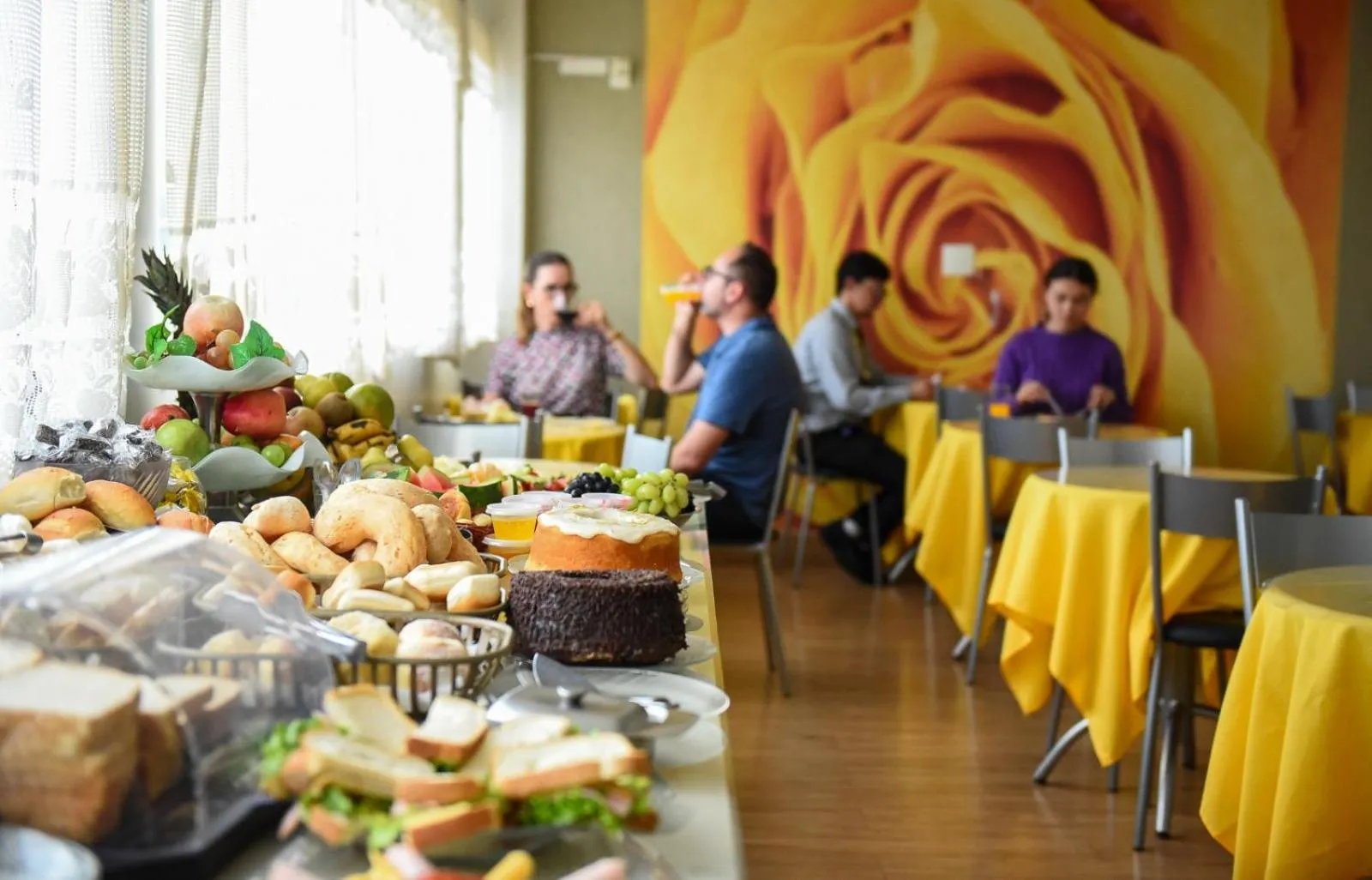 Hotel Volp Patos
