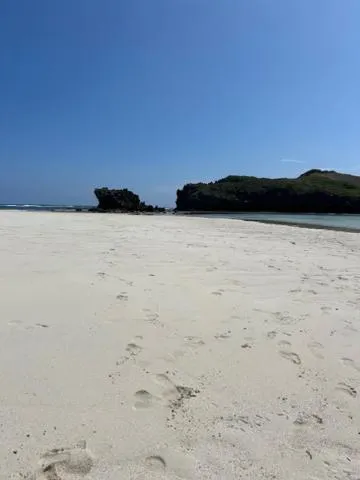 Natural landscape in TATU INN Boutique Hotel WATAMU