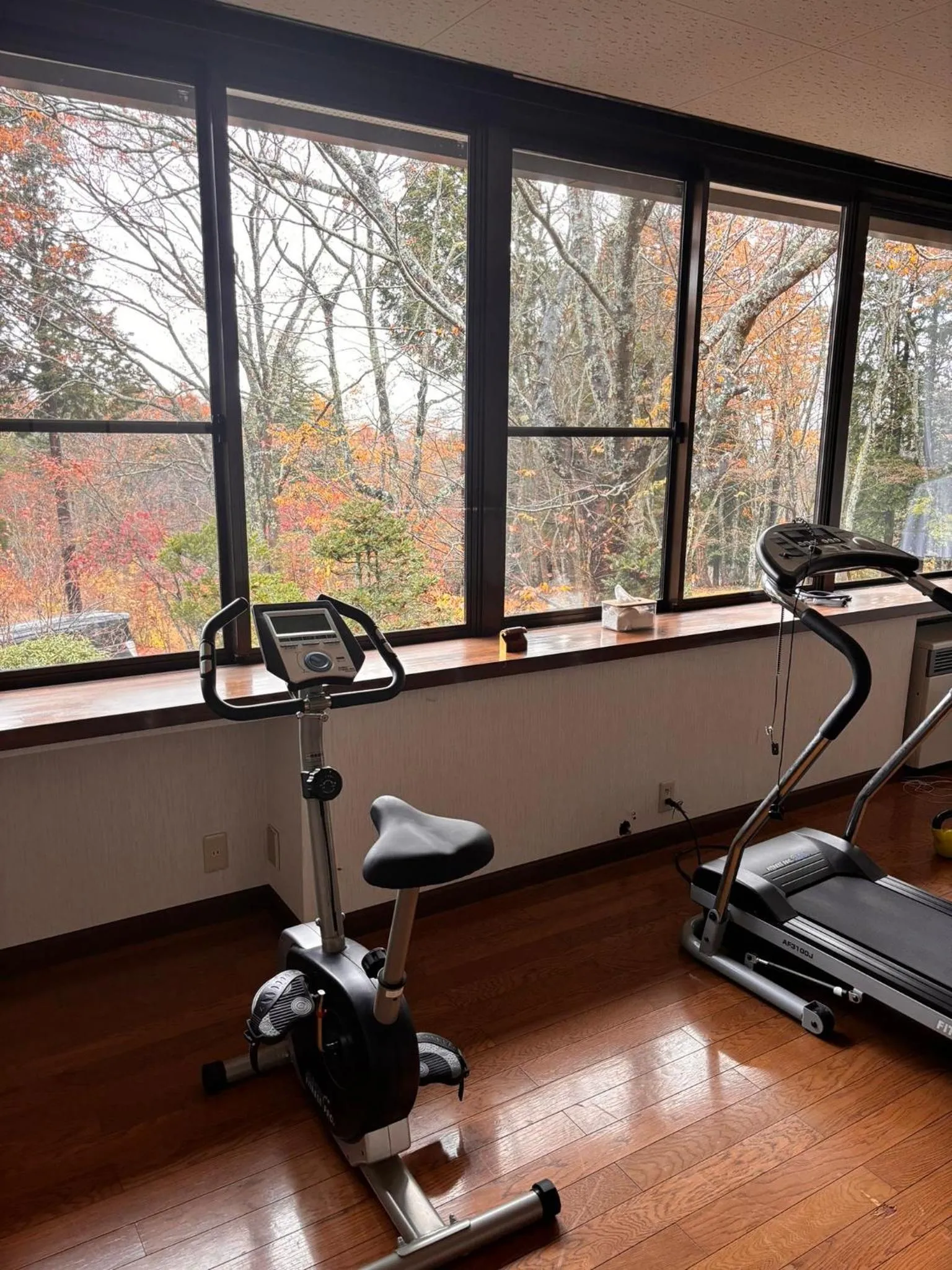Fitness centre/facilities in Sansui Resorts Yamanakako