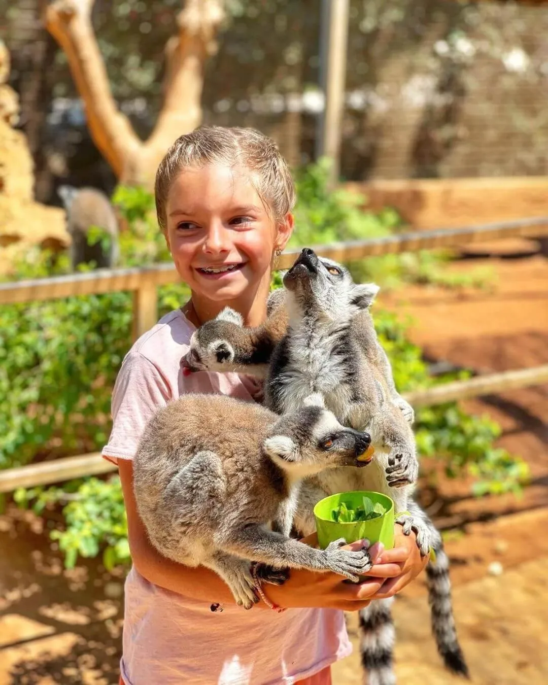 Ascos Coral Beach Hotel