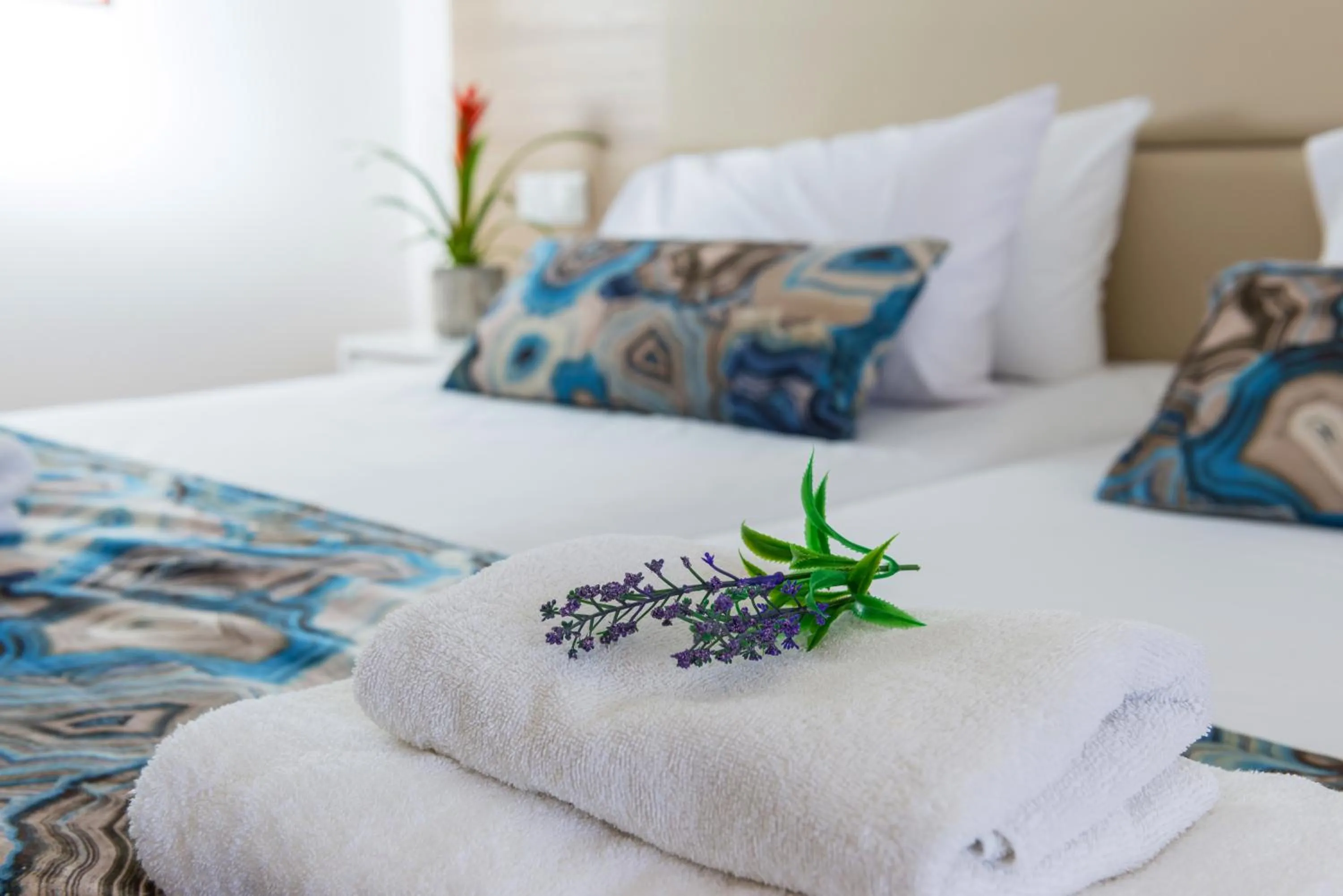 Ascos Coral Beach Hotel