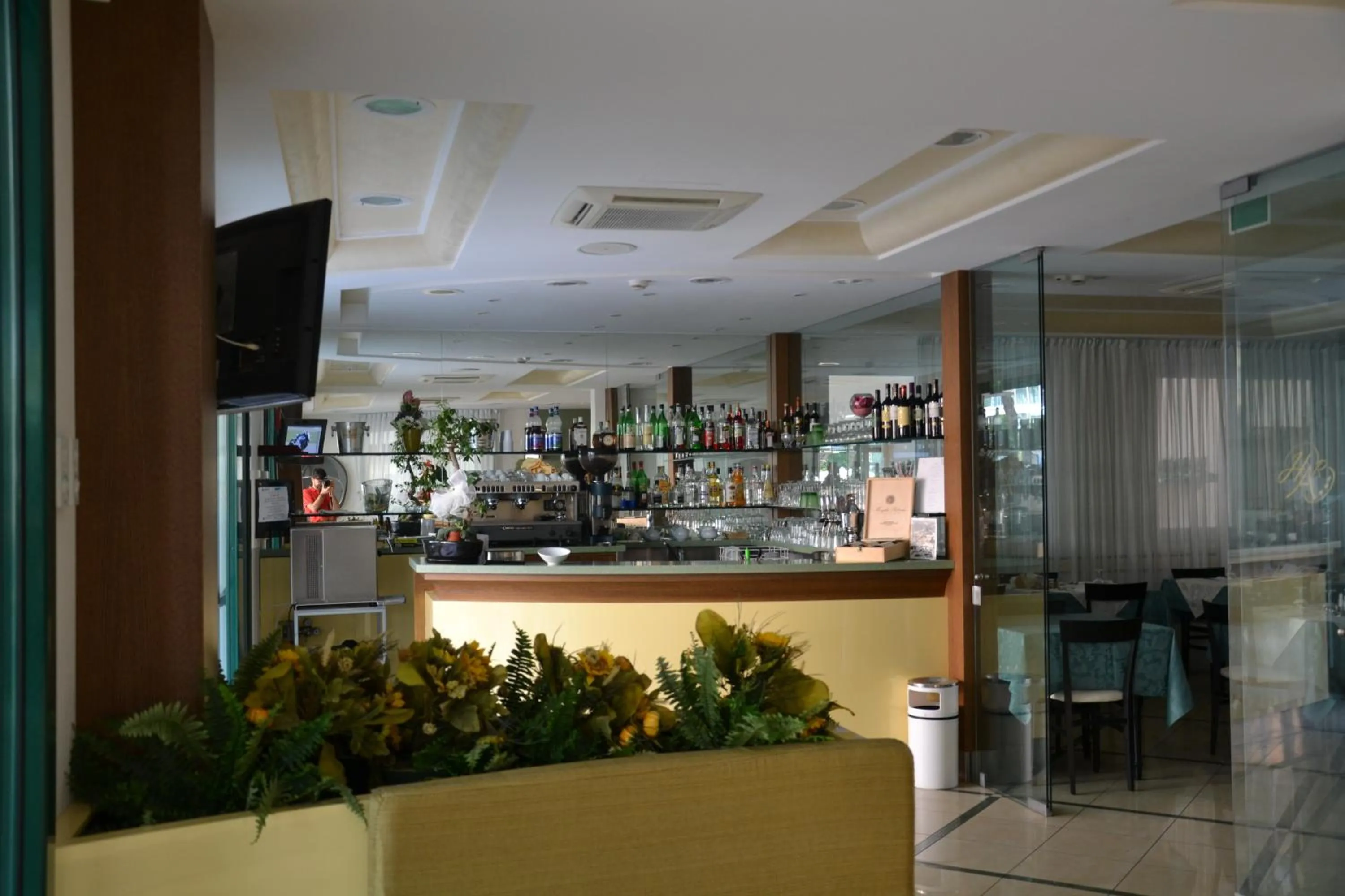 Lounge or bar in Hotel Ariston