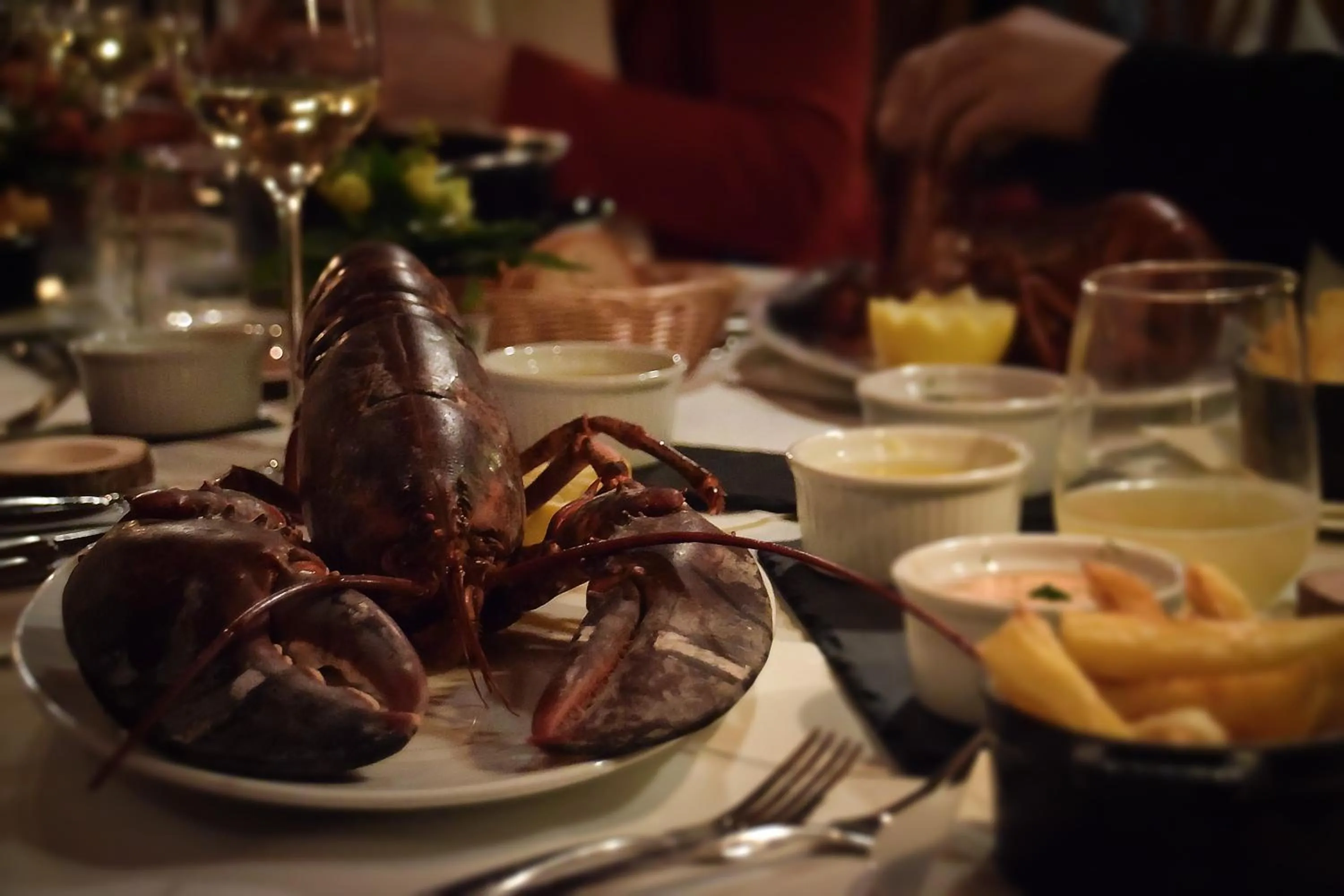 Gutshof-Hotel Waldknechtshof