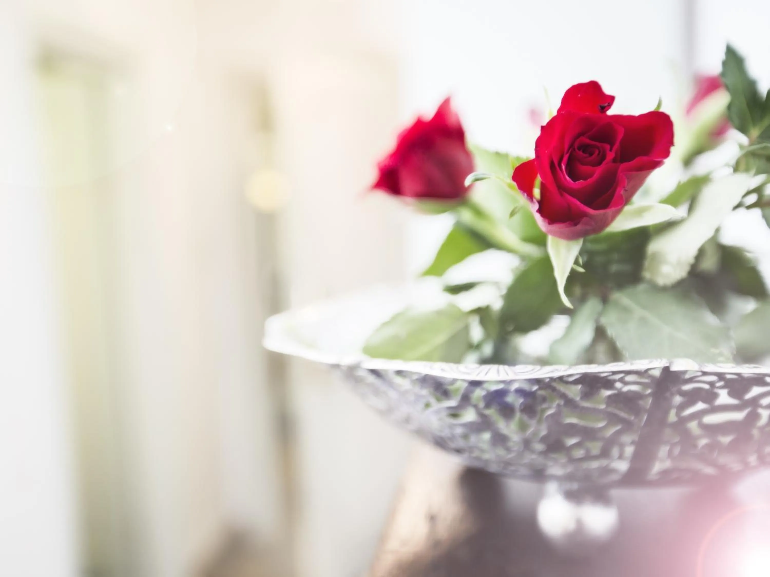 Other in Casa Din Bran - Inn Center