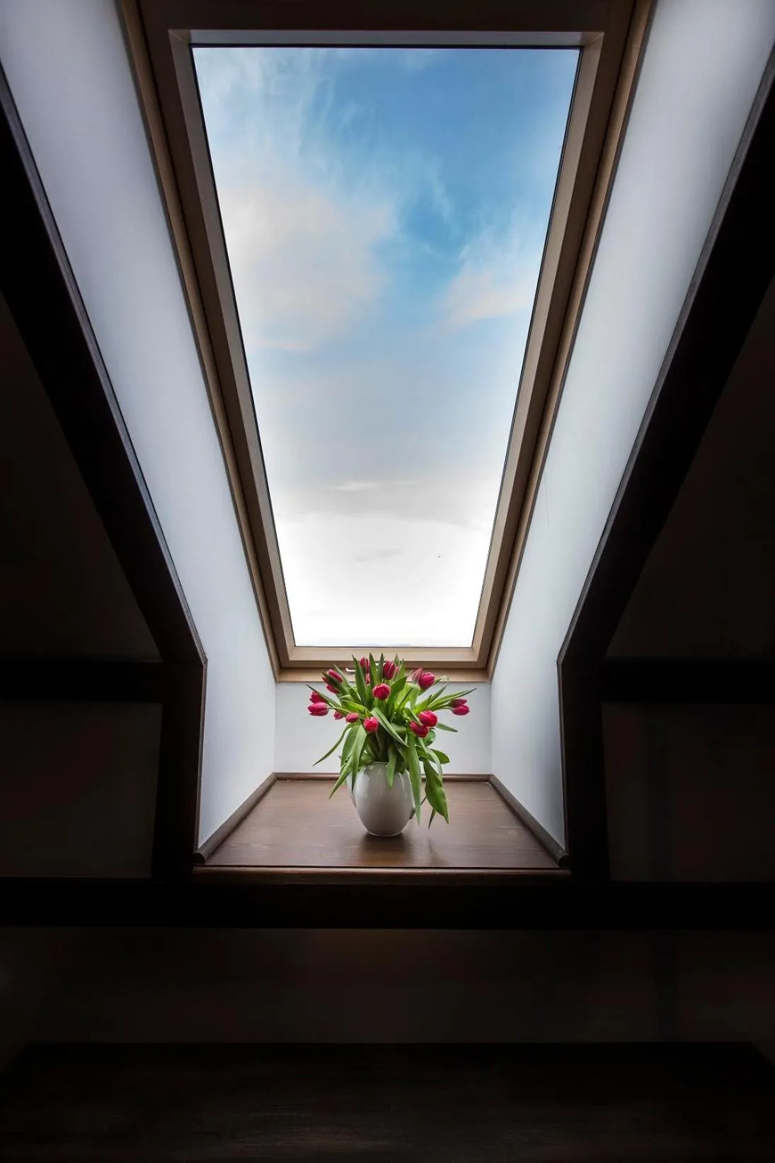 Property building in Casa Din Bran - Inn Center