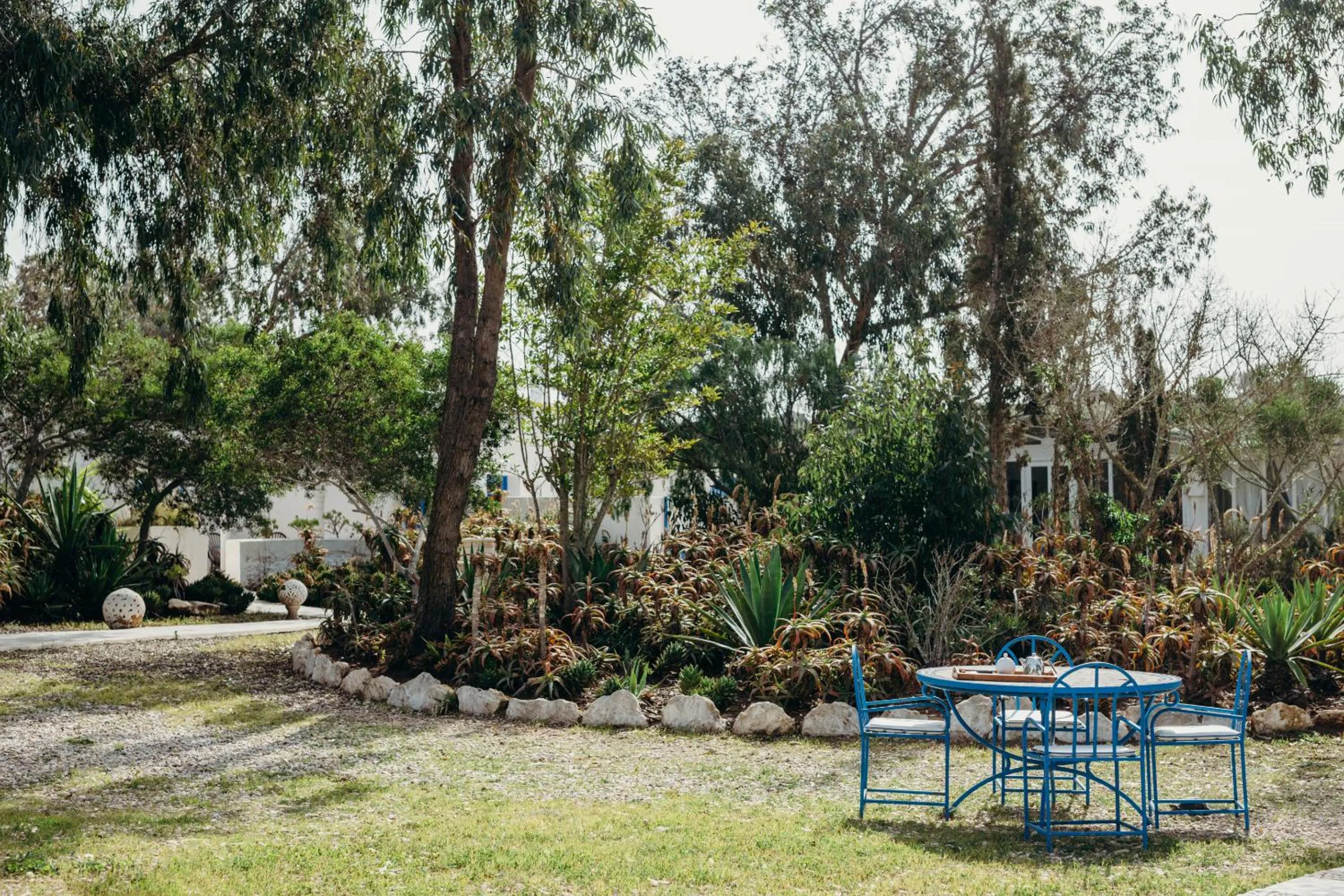 Activities in Tangaro Hip Hotel & Spa