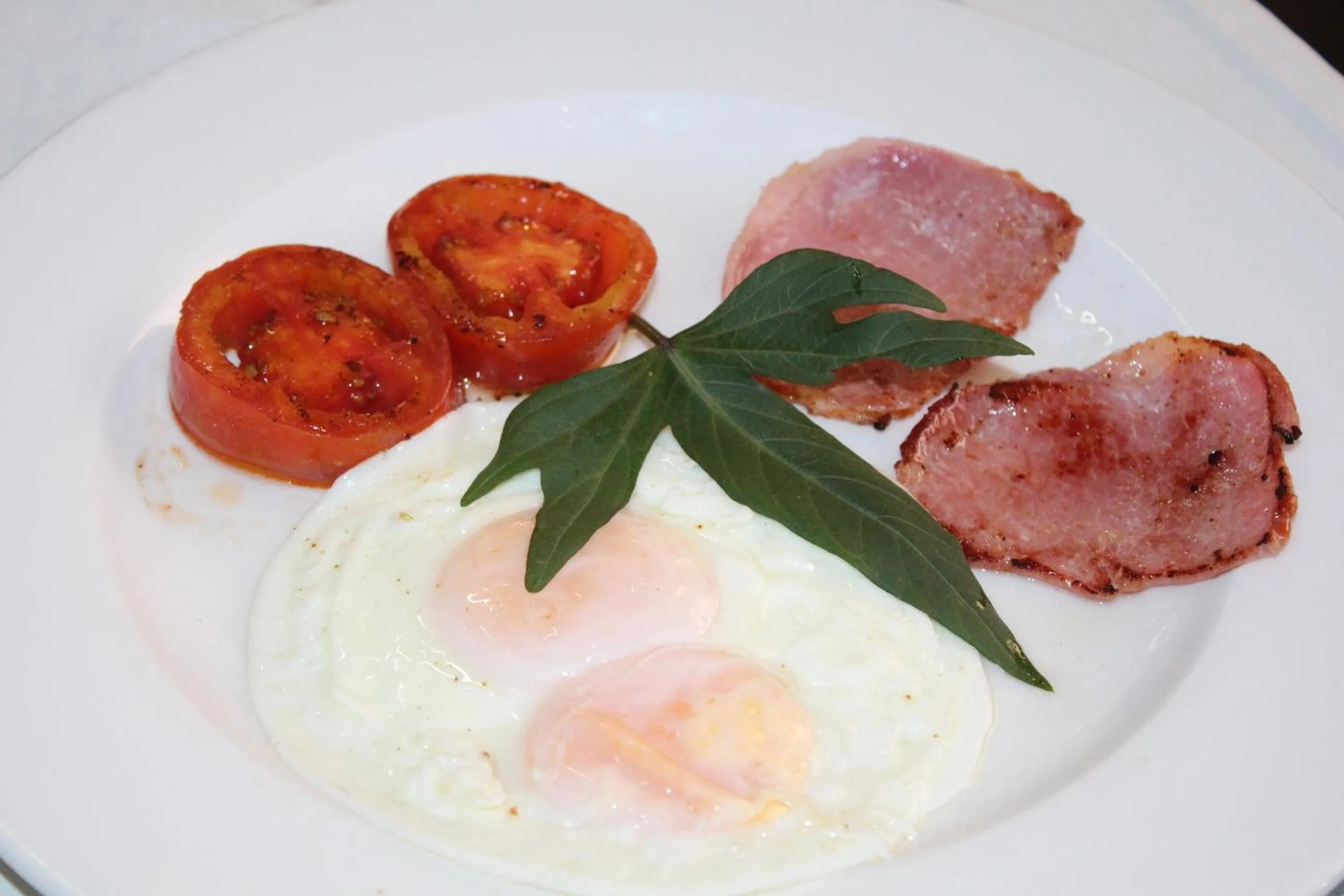 Breakfast in DEVOCEAN Lodge