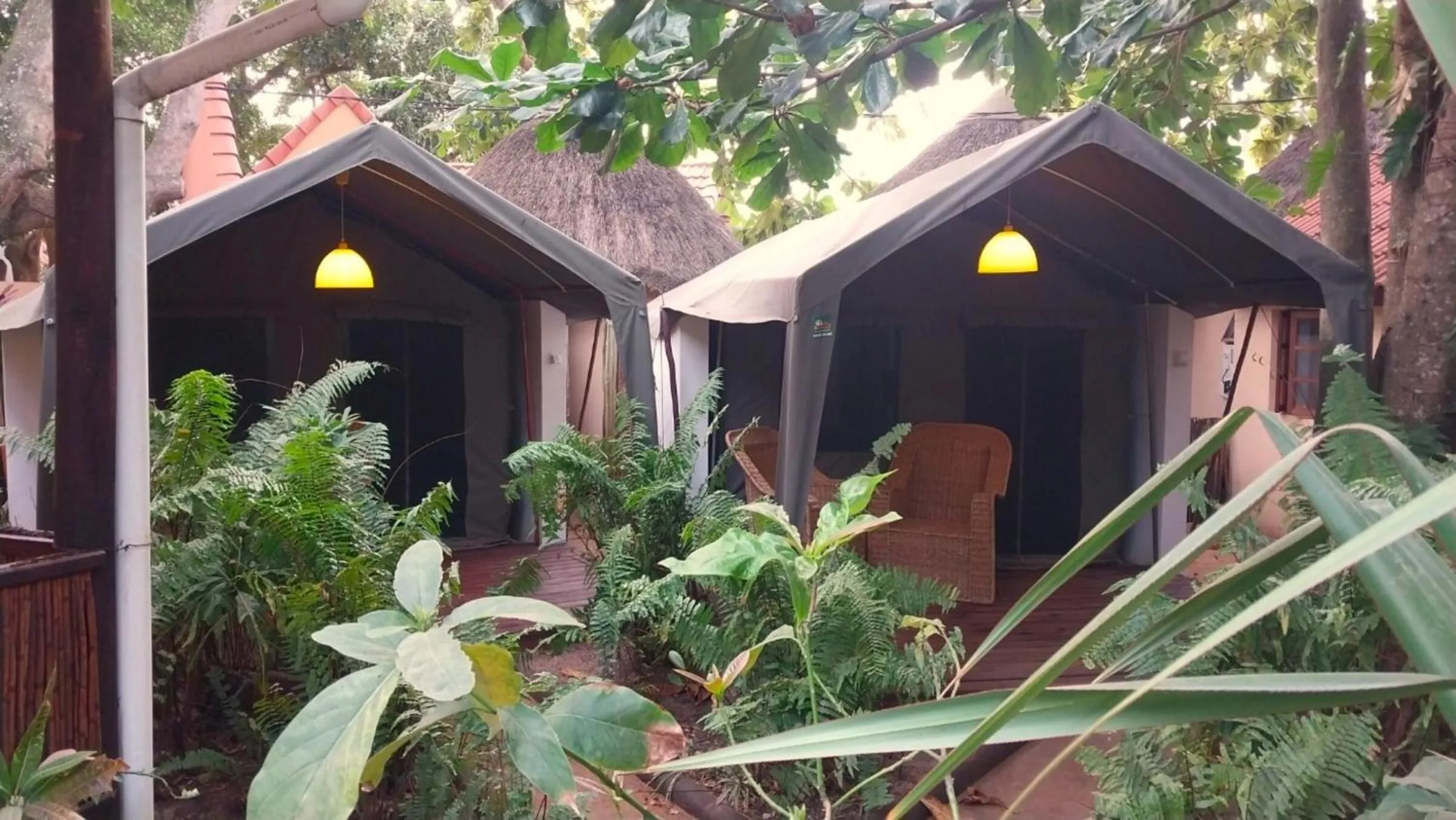 Garden view in DEVOCEAN Lodge