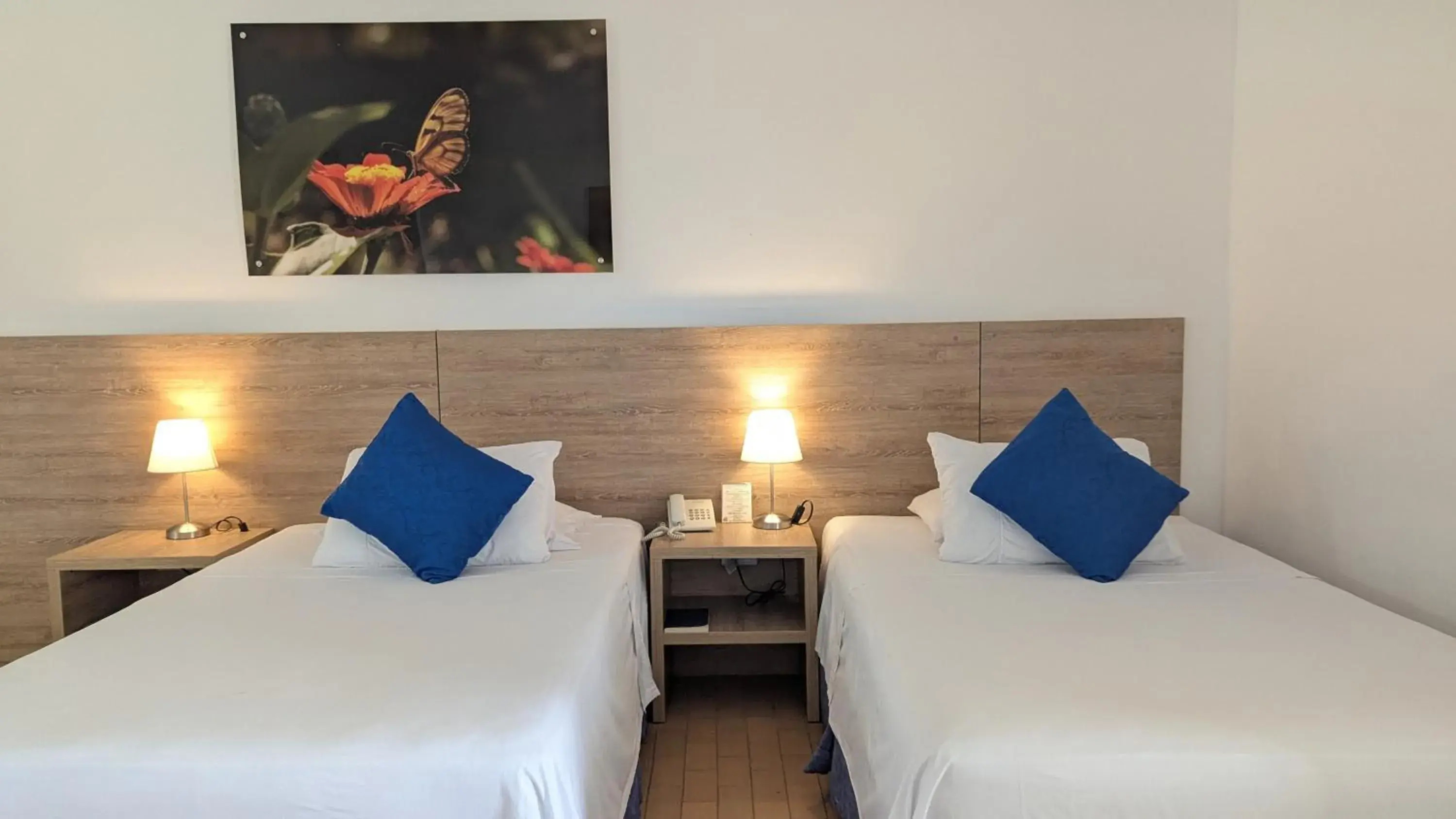 Superior Twin Room - single occupancy in Hotel Los Viñedos Superior Twin Room - single occupancy in Hotel Los Viñedos