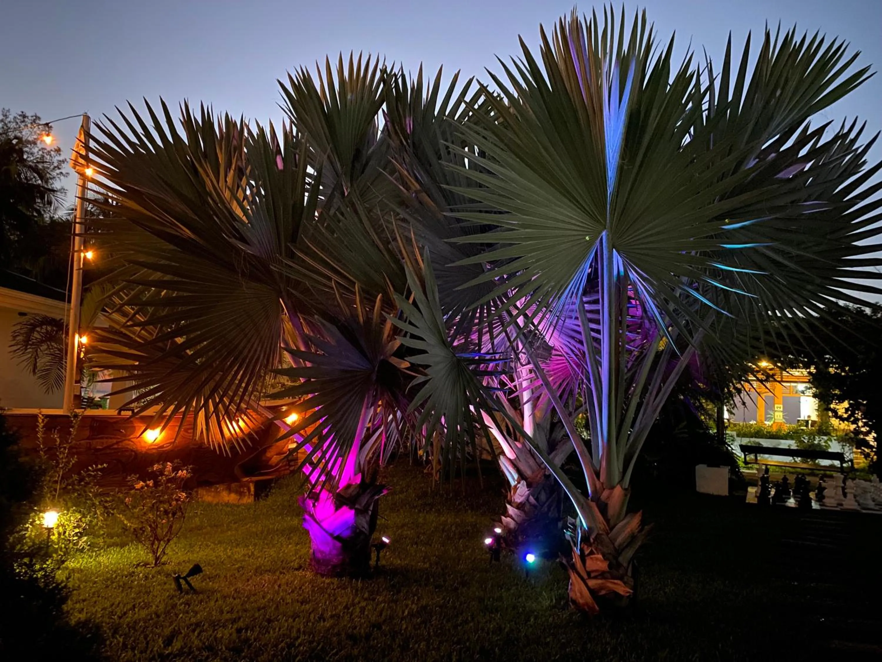 Night in Paraiso Rainforest and Beach Hotel