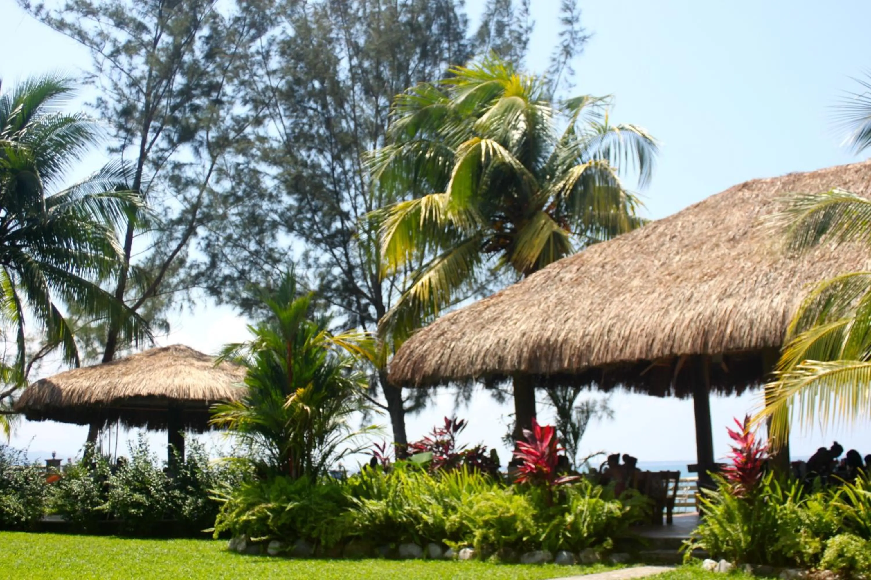 Balcony/Terrace in Paraiso Rainforest and Beach Hotel