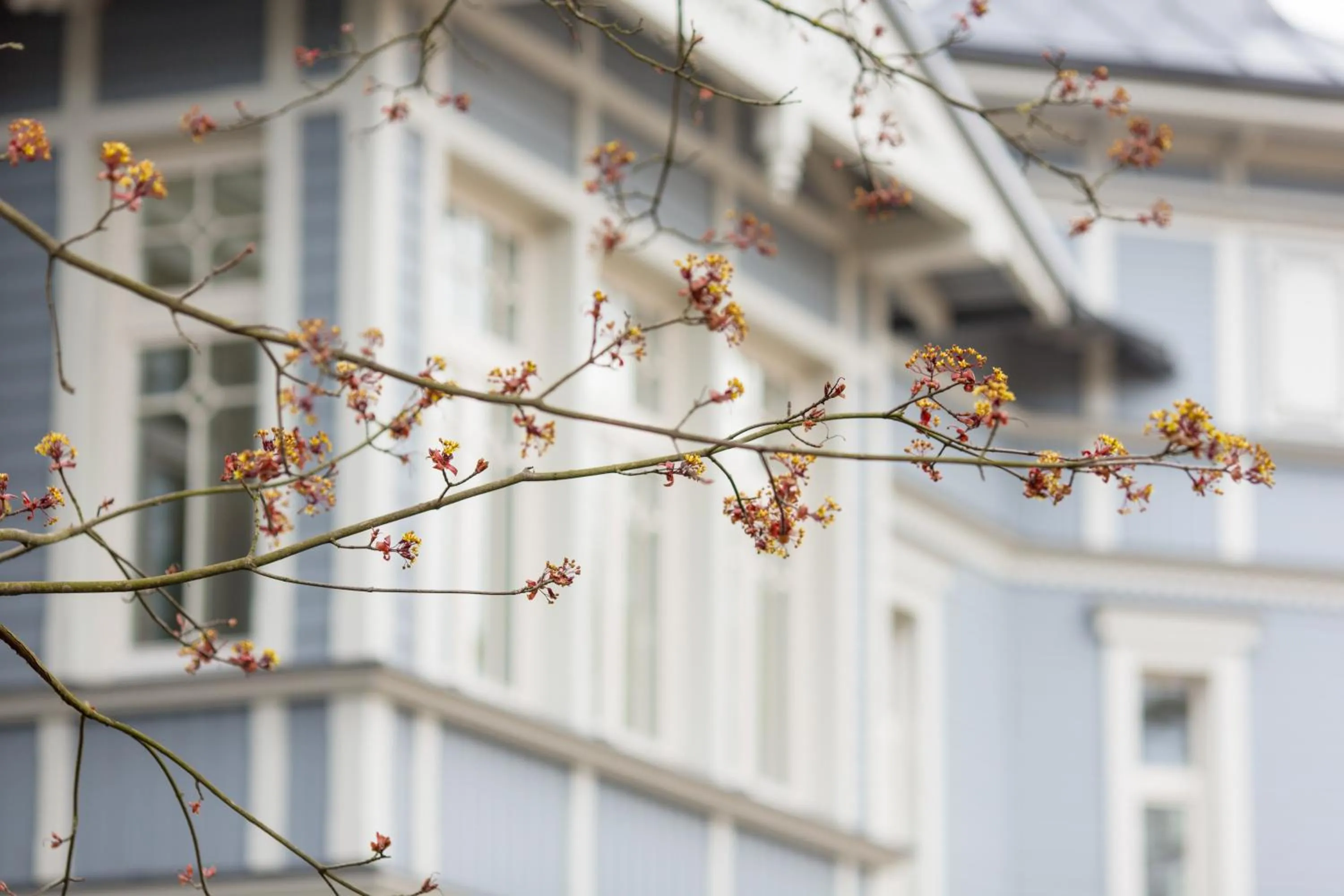 Other in Katrin Apartments