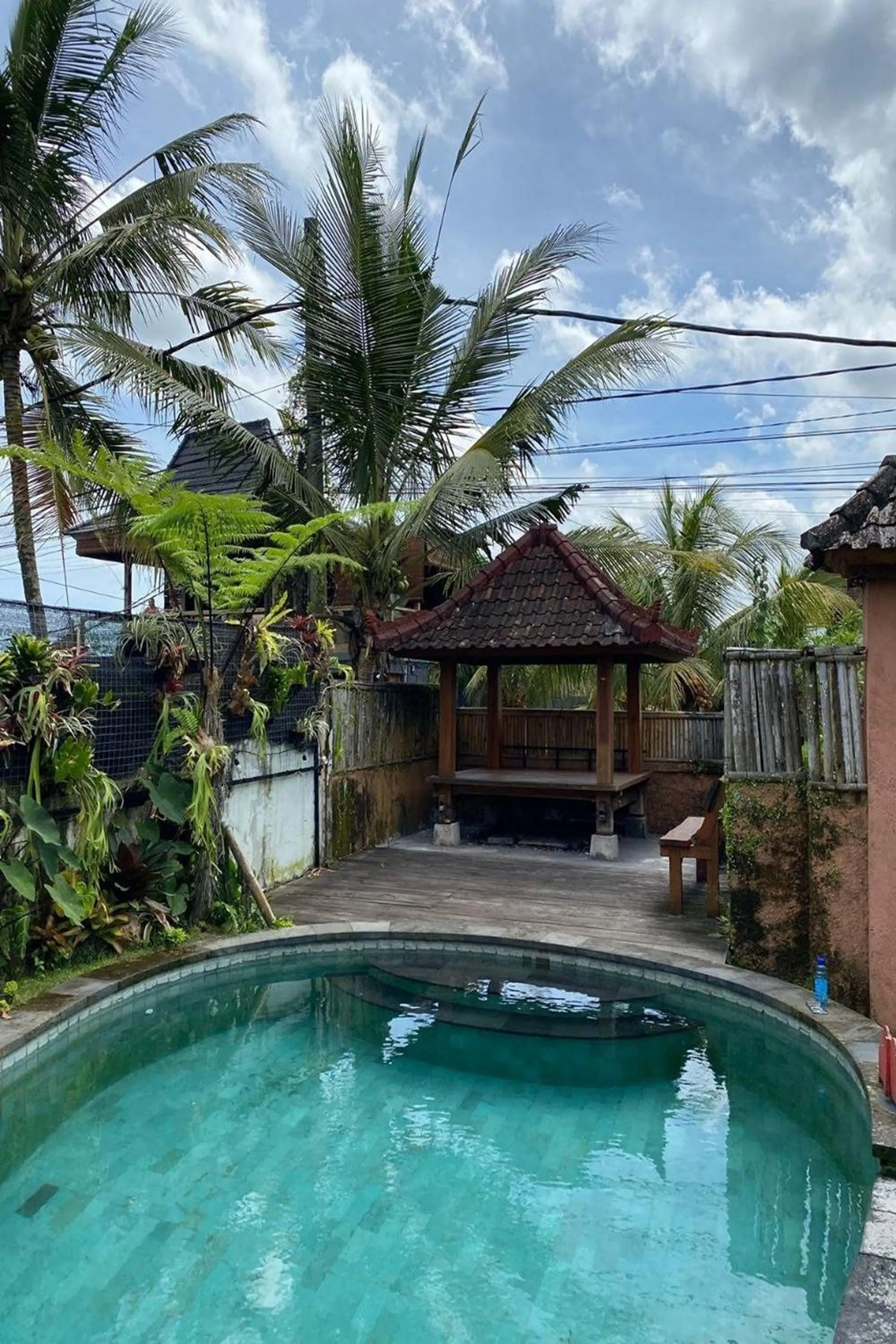 Swimming pool in Budha House Ubud