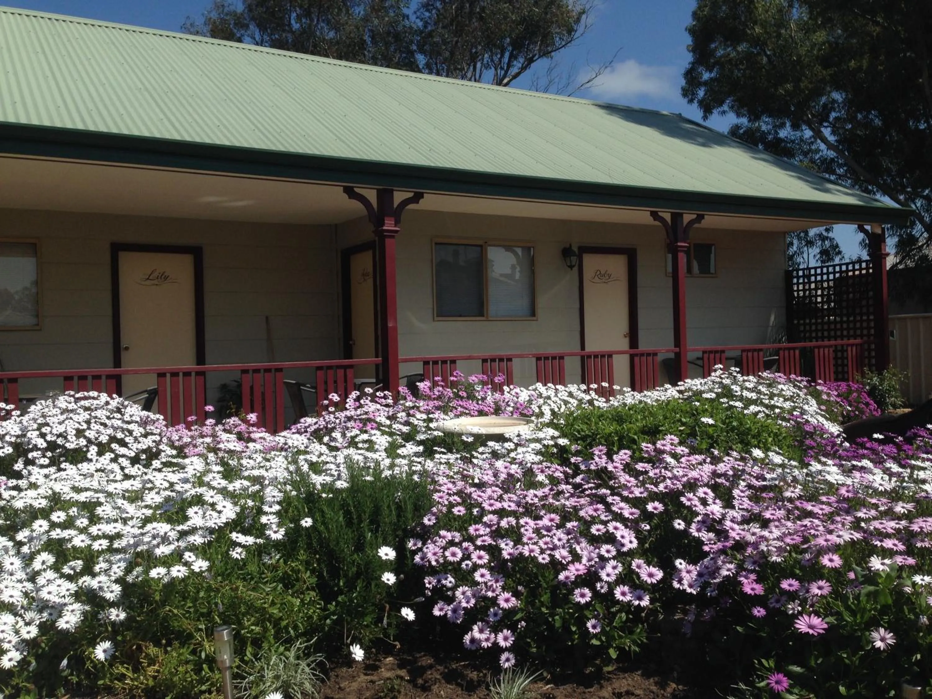 Garden in The Nosh & Nod - Avon Terrace
