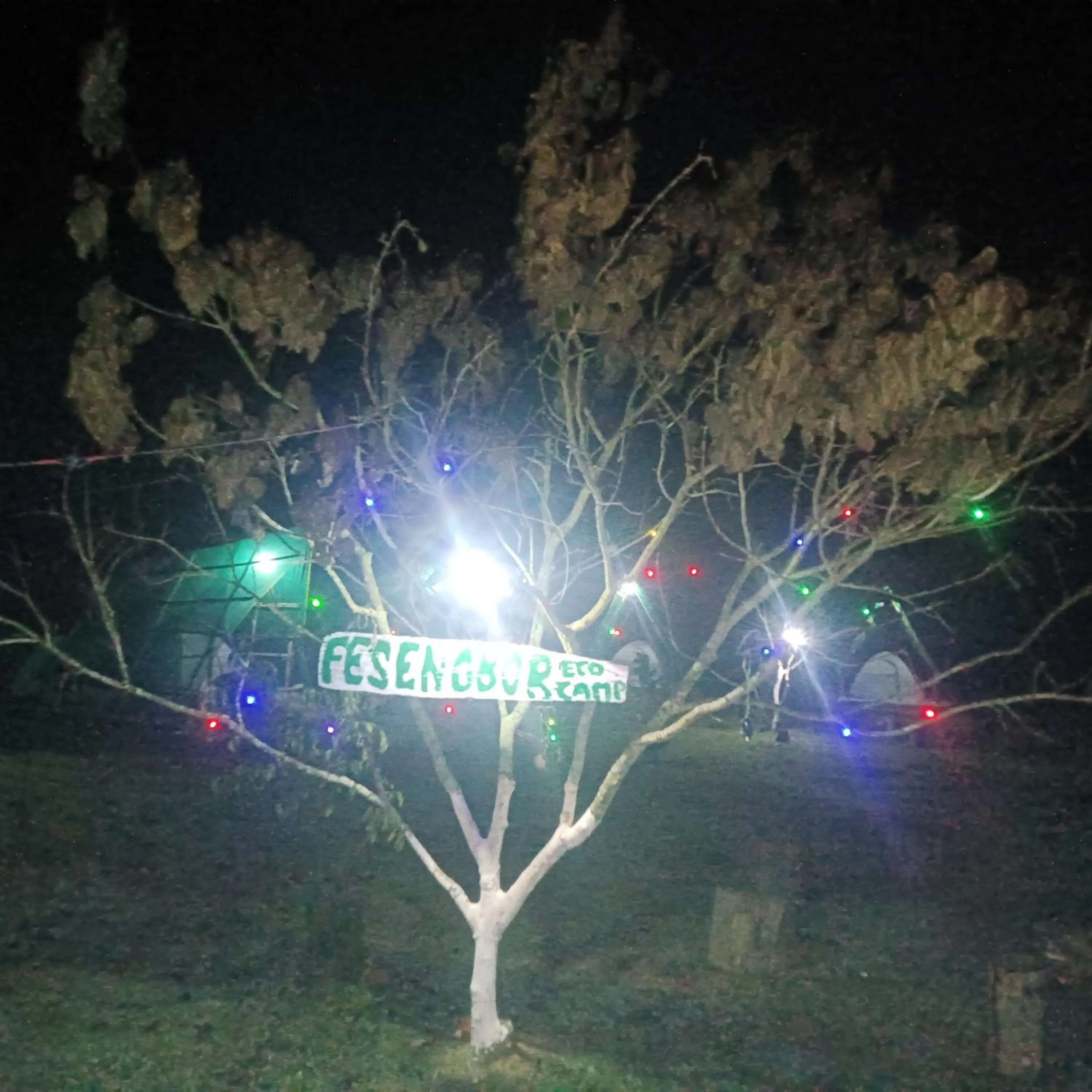 Night in Fesengbor eco camp