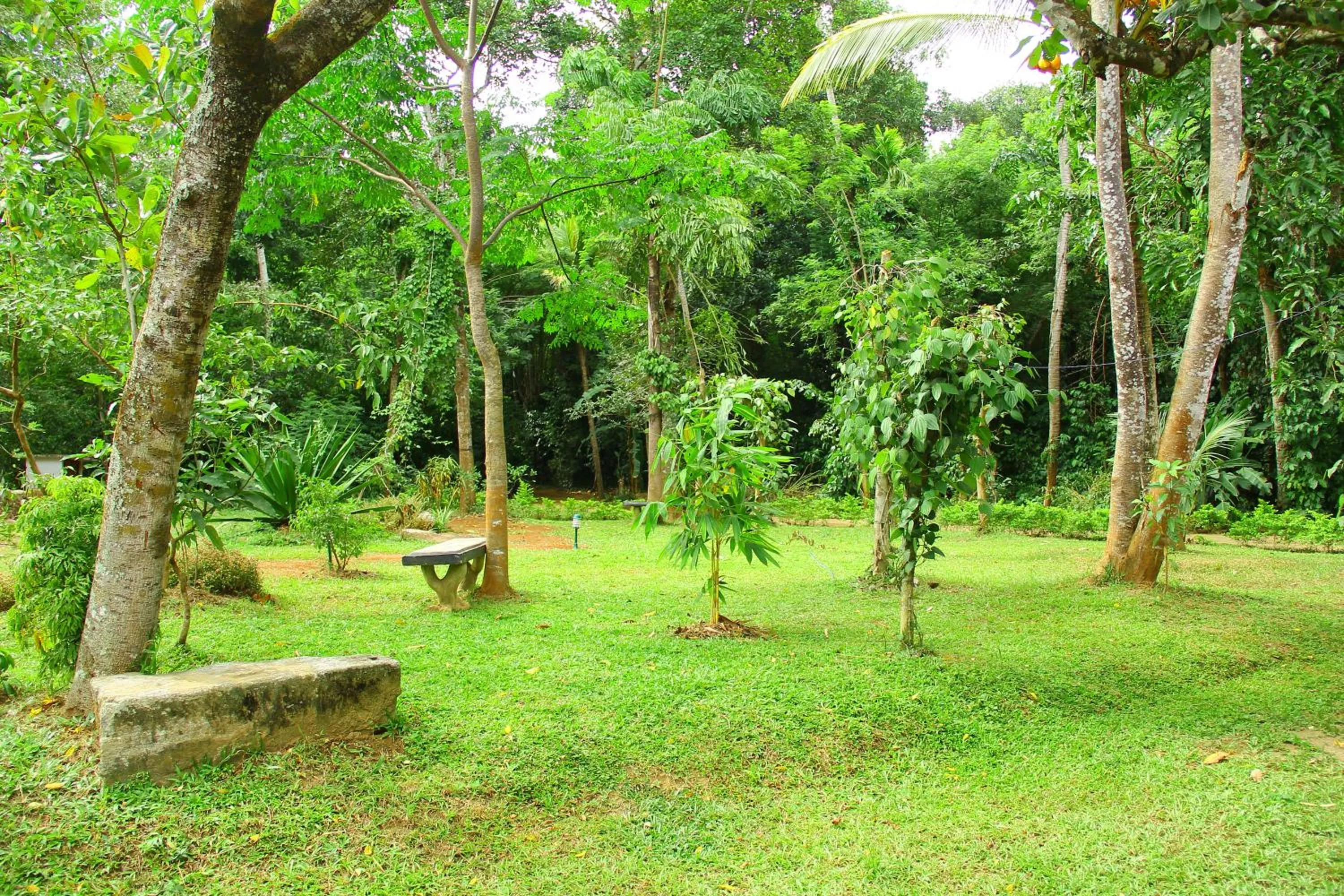 Garden in Kandy Little White House