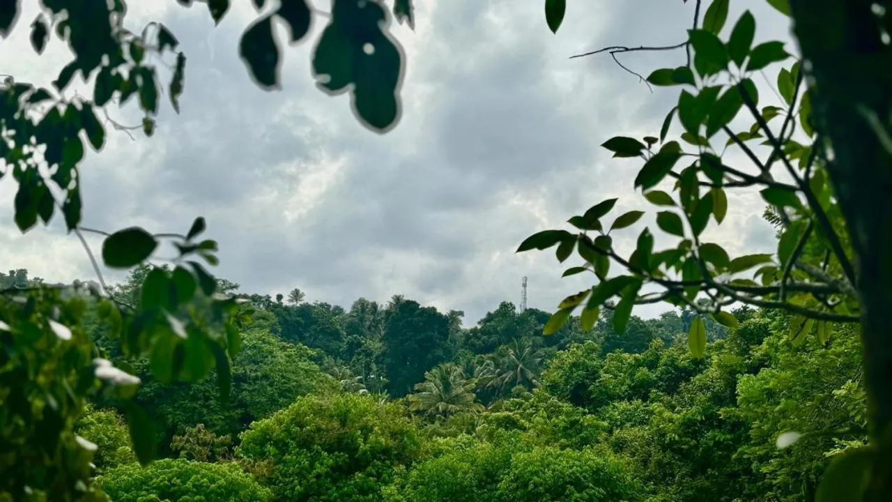 Natural landscape in Kandy Little White House