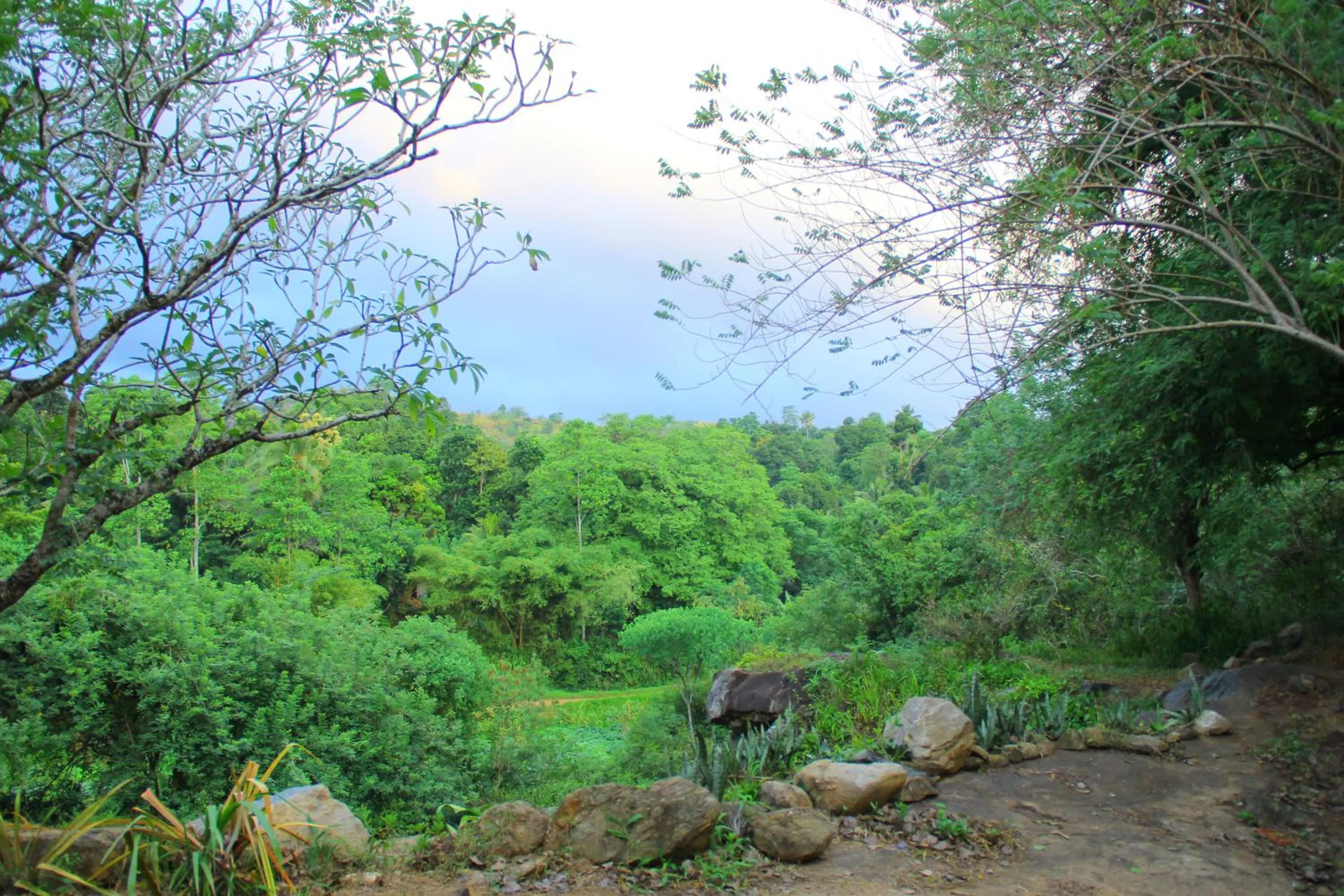 Natural landscape in Kandy Little White House