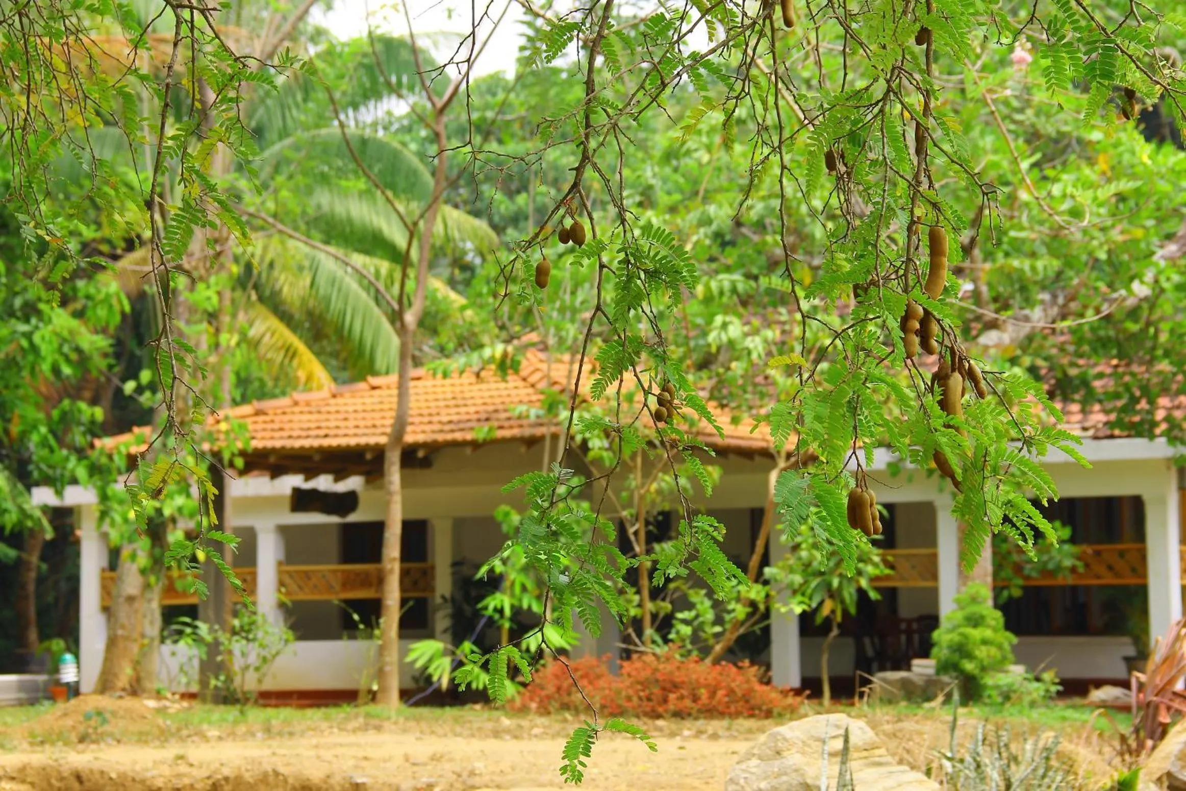 Property building in Kandy Little White House