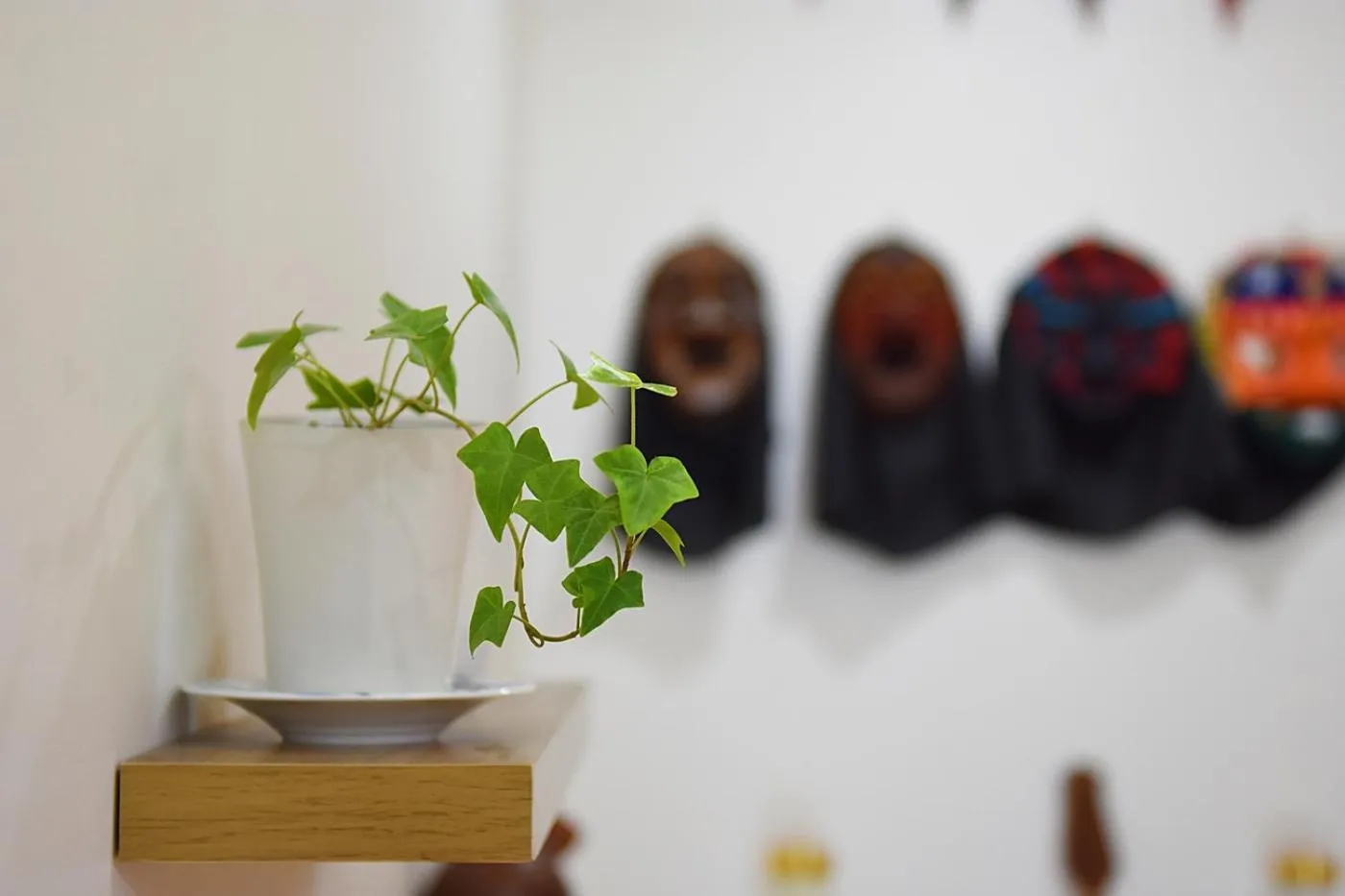 Other in Ganderak Guesthouse