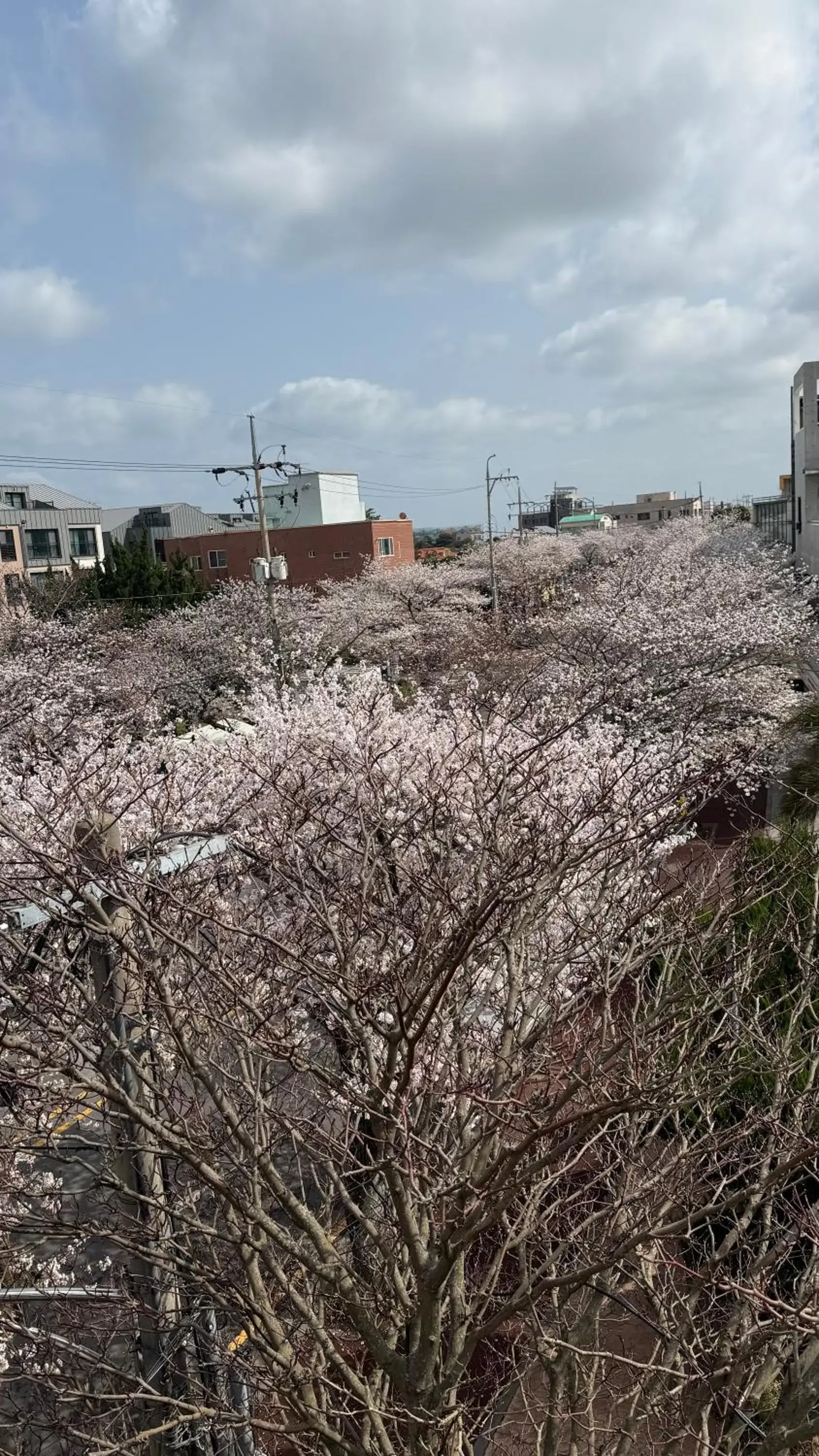 Property building in Ganderak Guesthouse Property building in Ganderak Guesthouse
