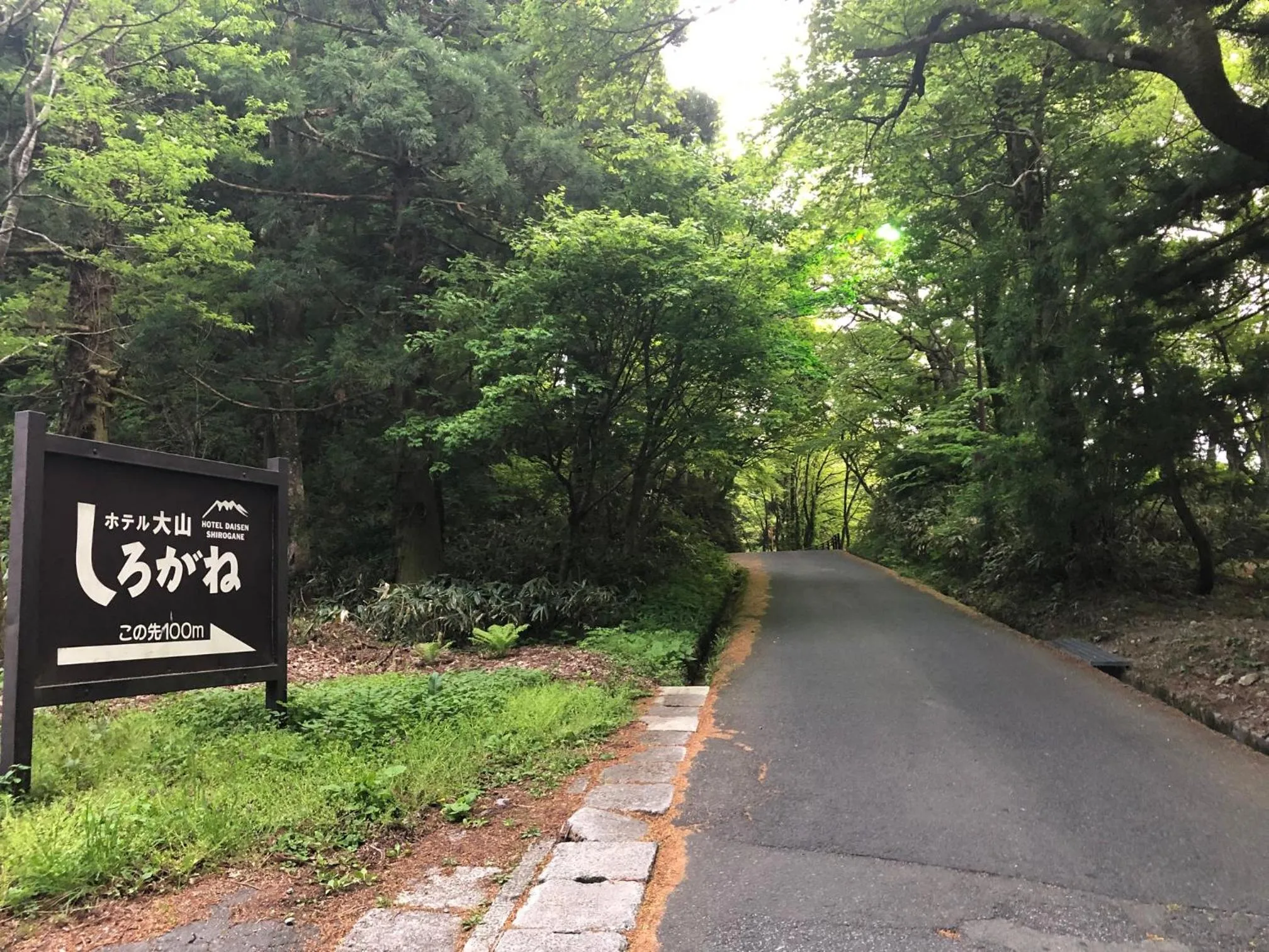 Hotel Daisen Shirogane