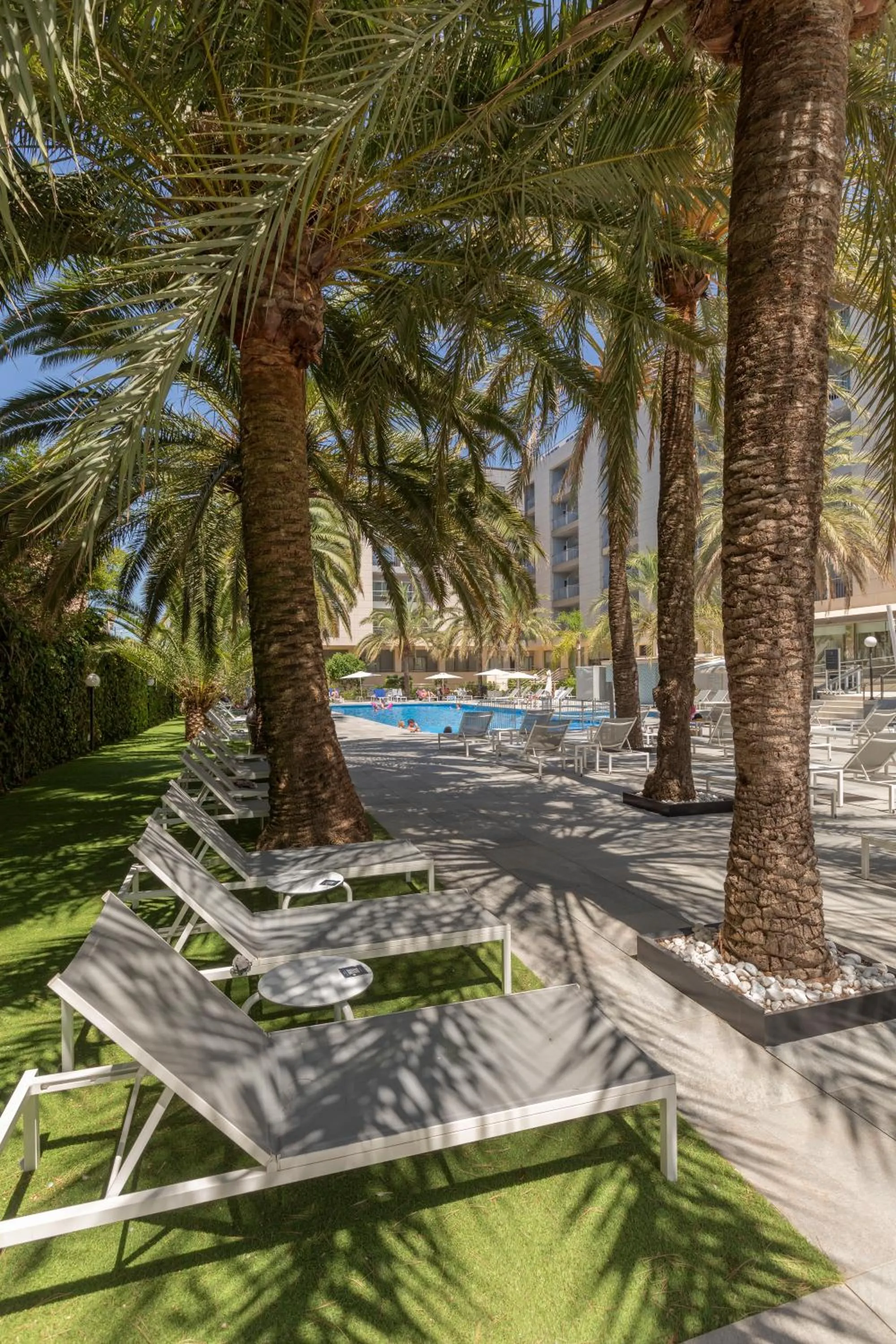 Swimming pool in Bordoy Cosmopolitan